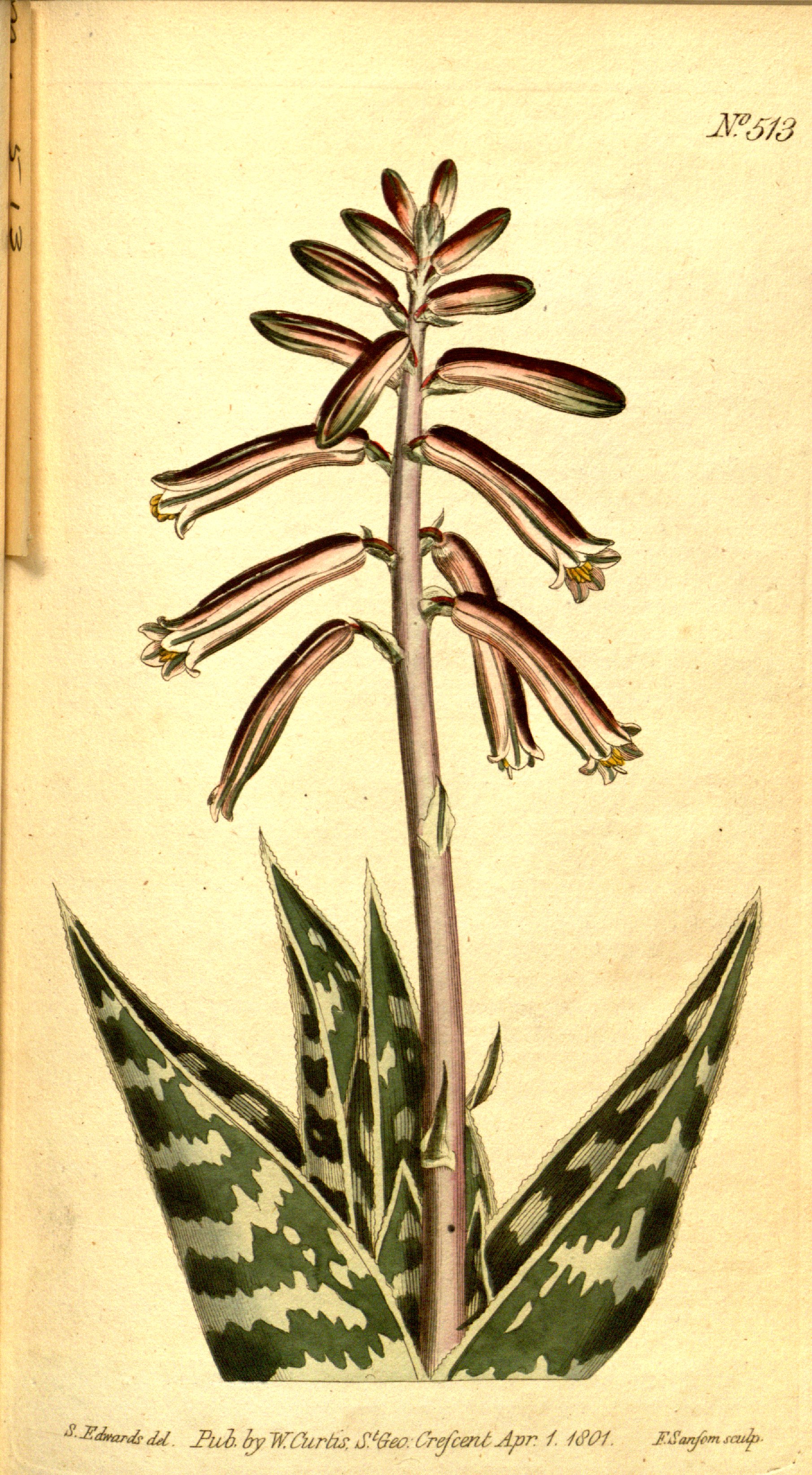 no full size  illustration available (3a)