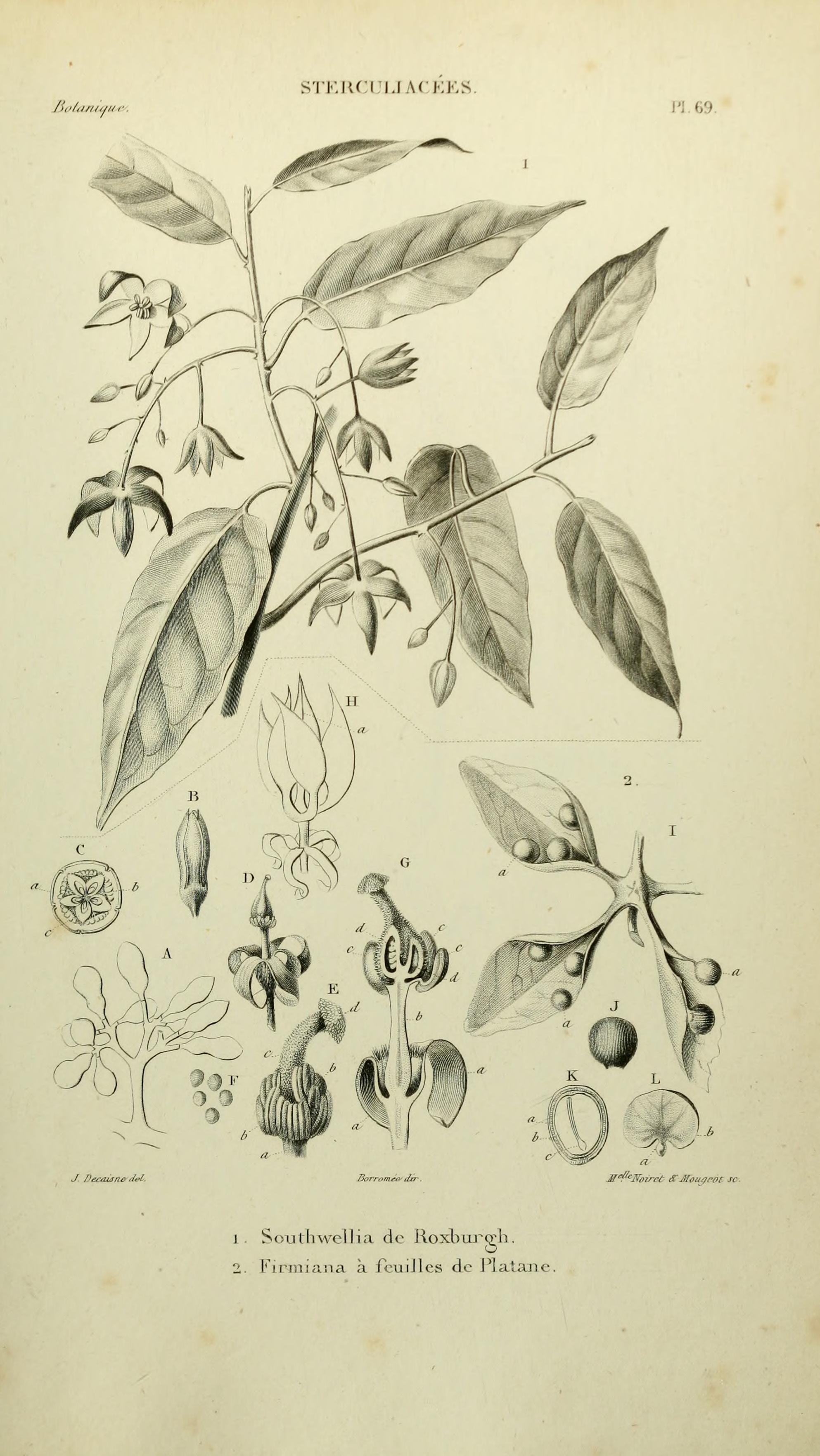 no full size  illustration available (3a)