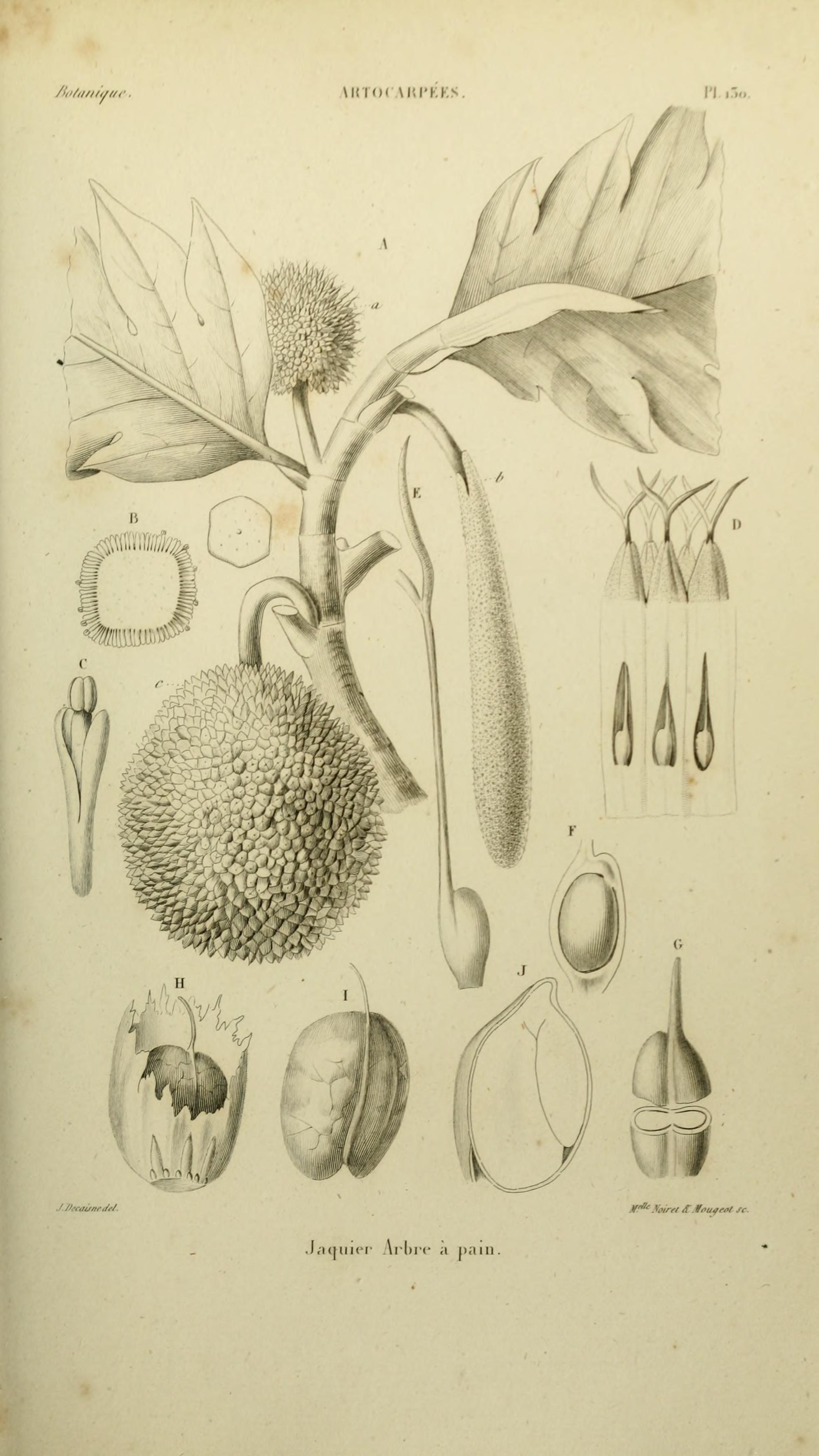 no full size  illustration available (3a)