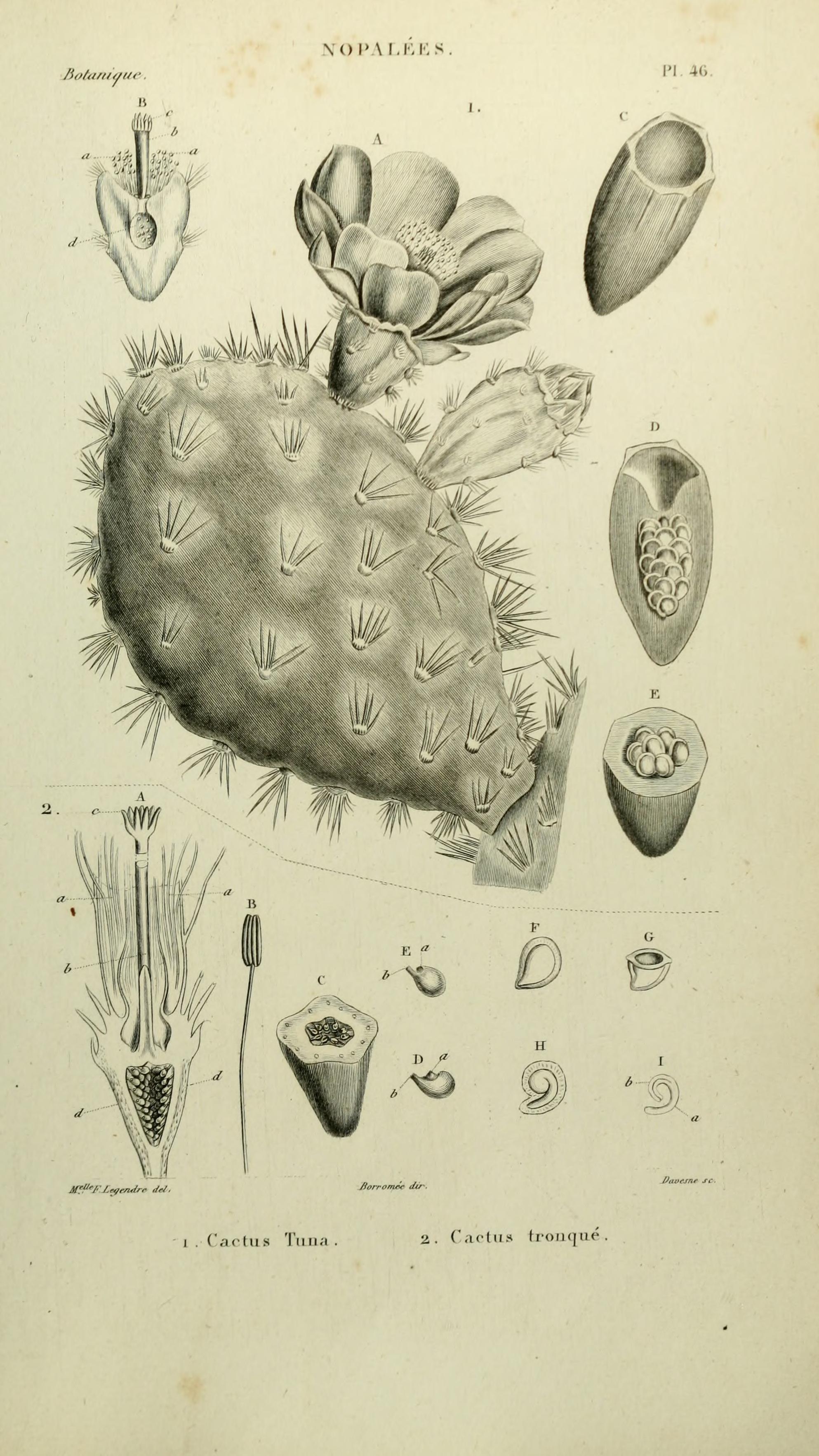 no full size  illustration available (3a)