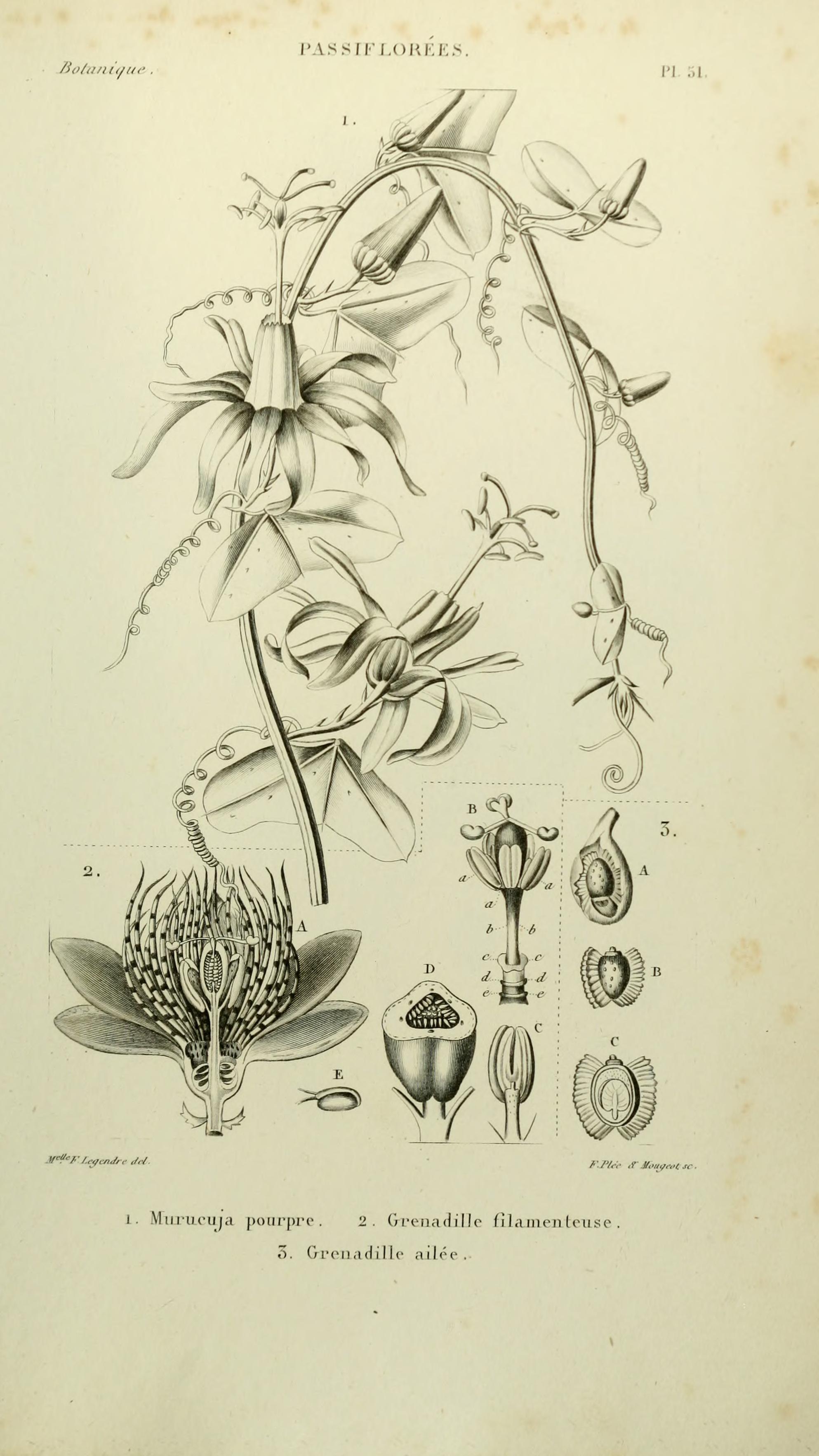 no full size  illustration available (3a)