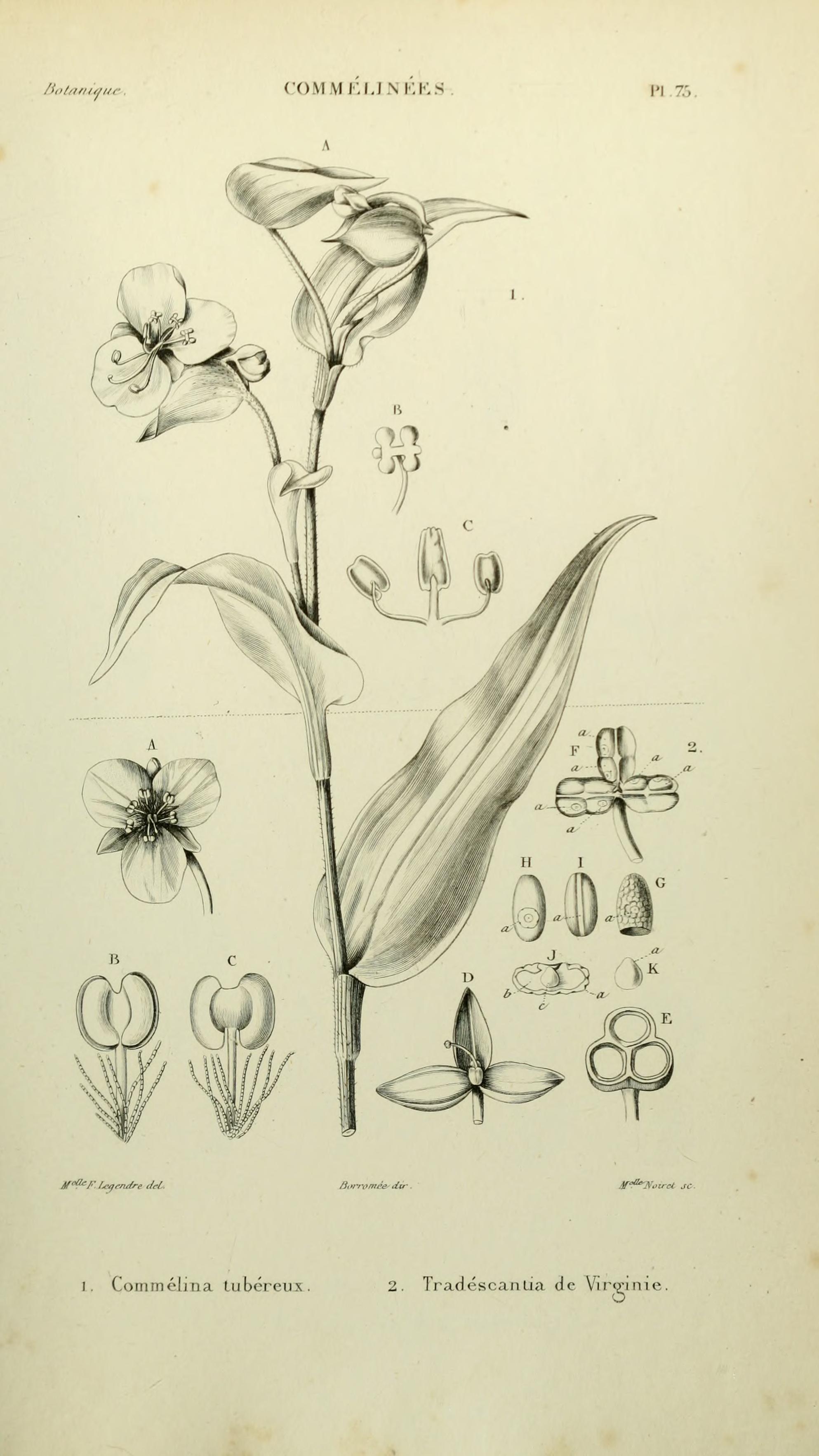 no full size  illustration available (3a)