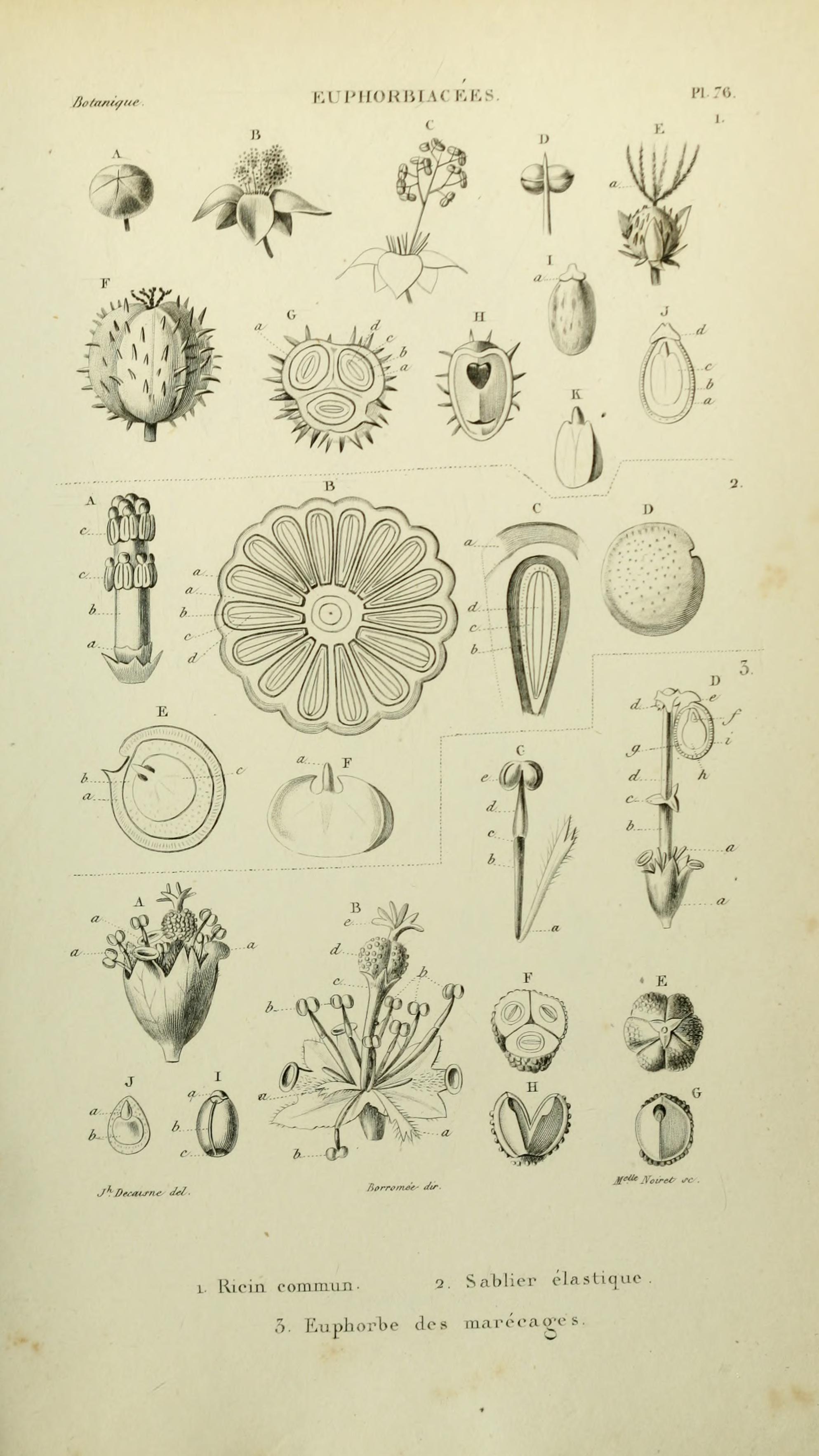 no full size  illustration available (3a)