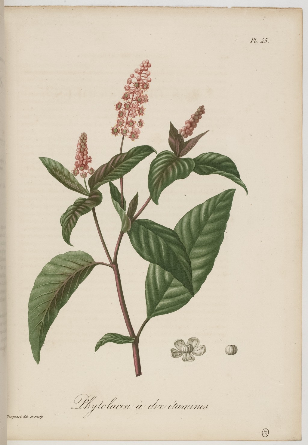 no full size  illustration available (3a)