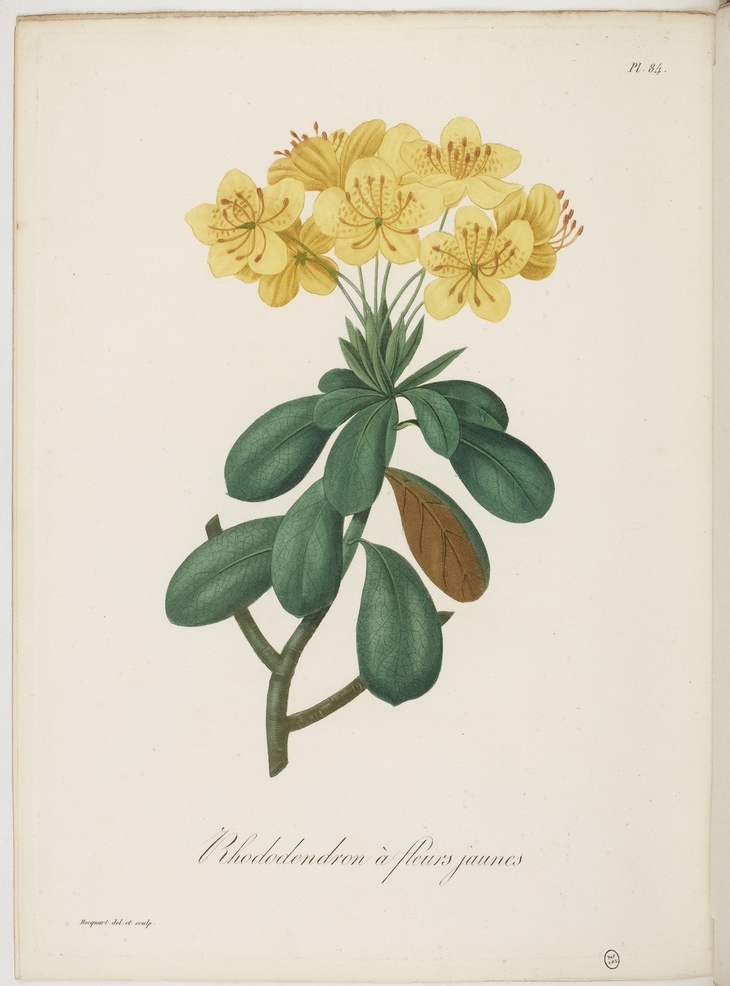 no full size  illustration available (3a)