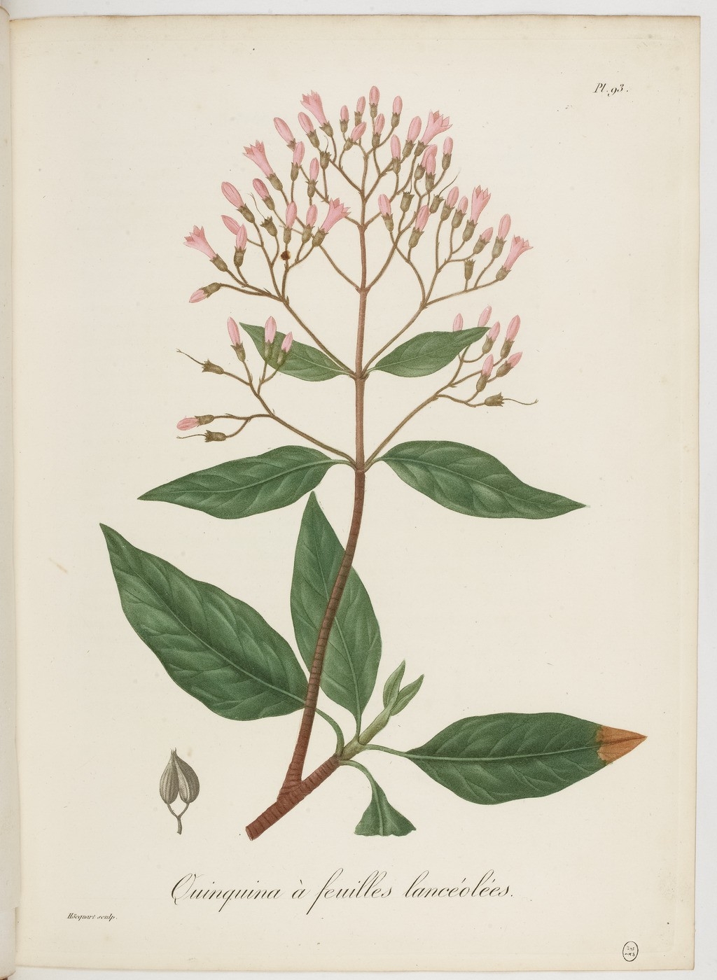 no full size  illustration available (3a)