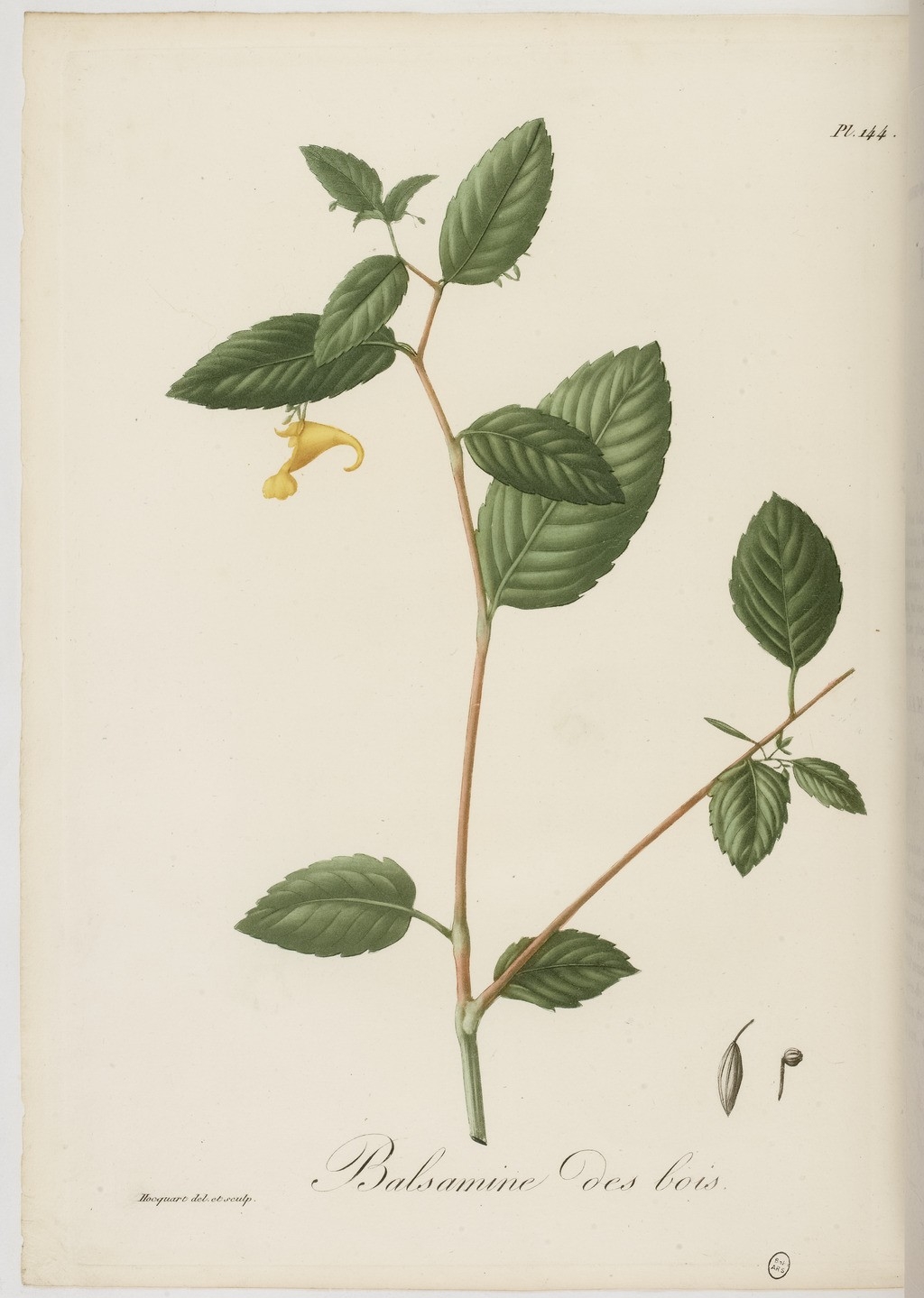 no full size  illustration available (3a)