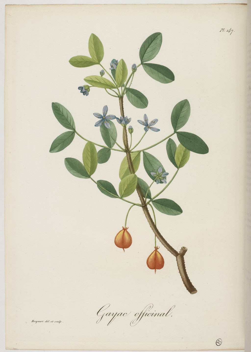 no full size  illustration available (3a)