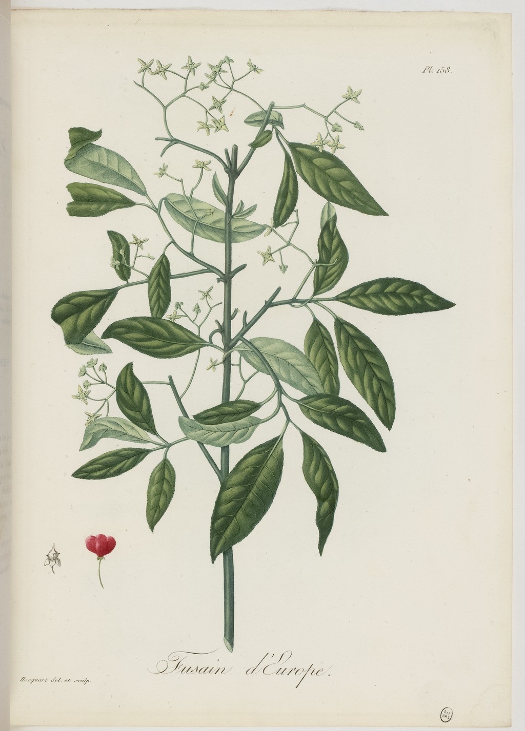 no full size  illustration available (3a)