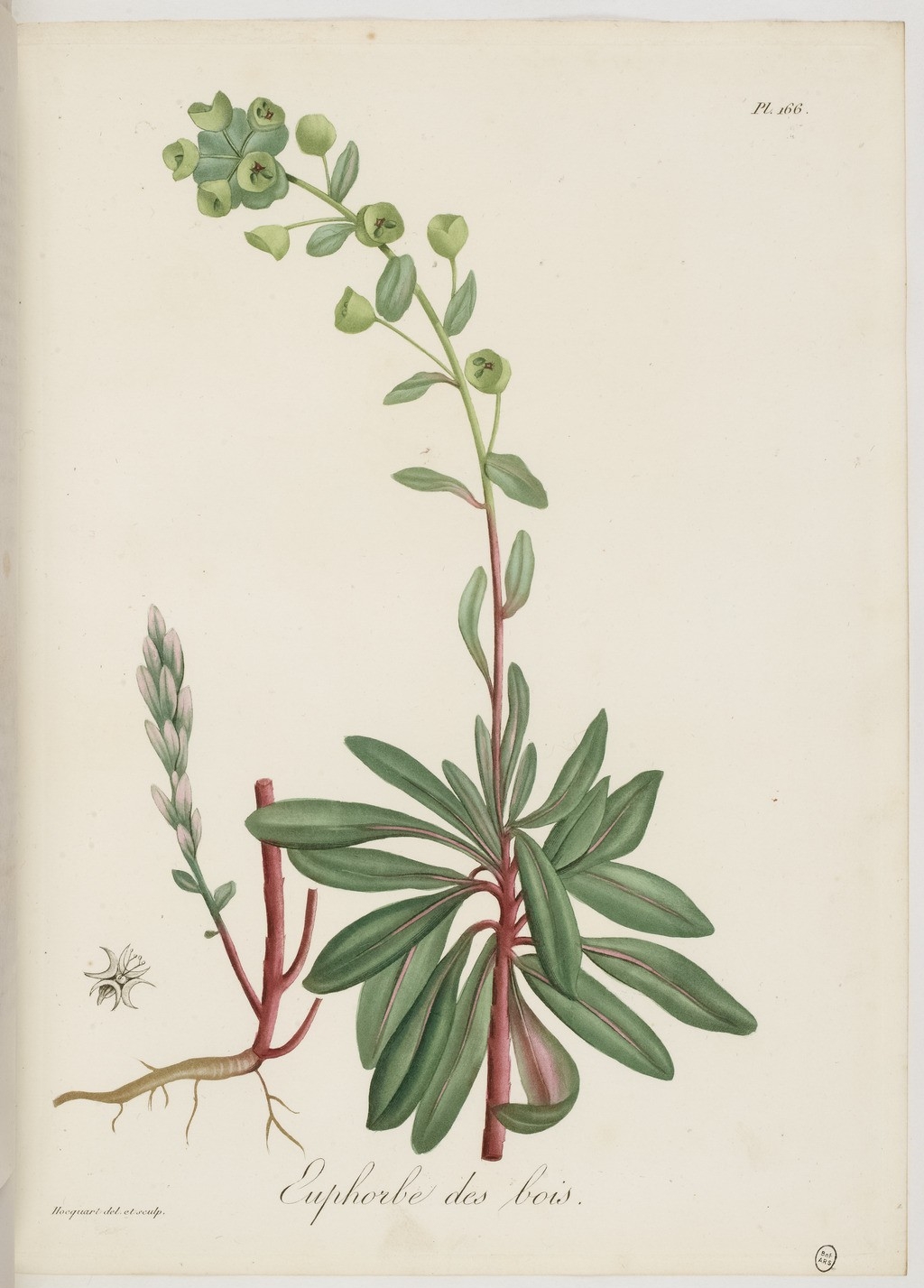 no full size  illustration available (3a)