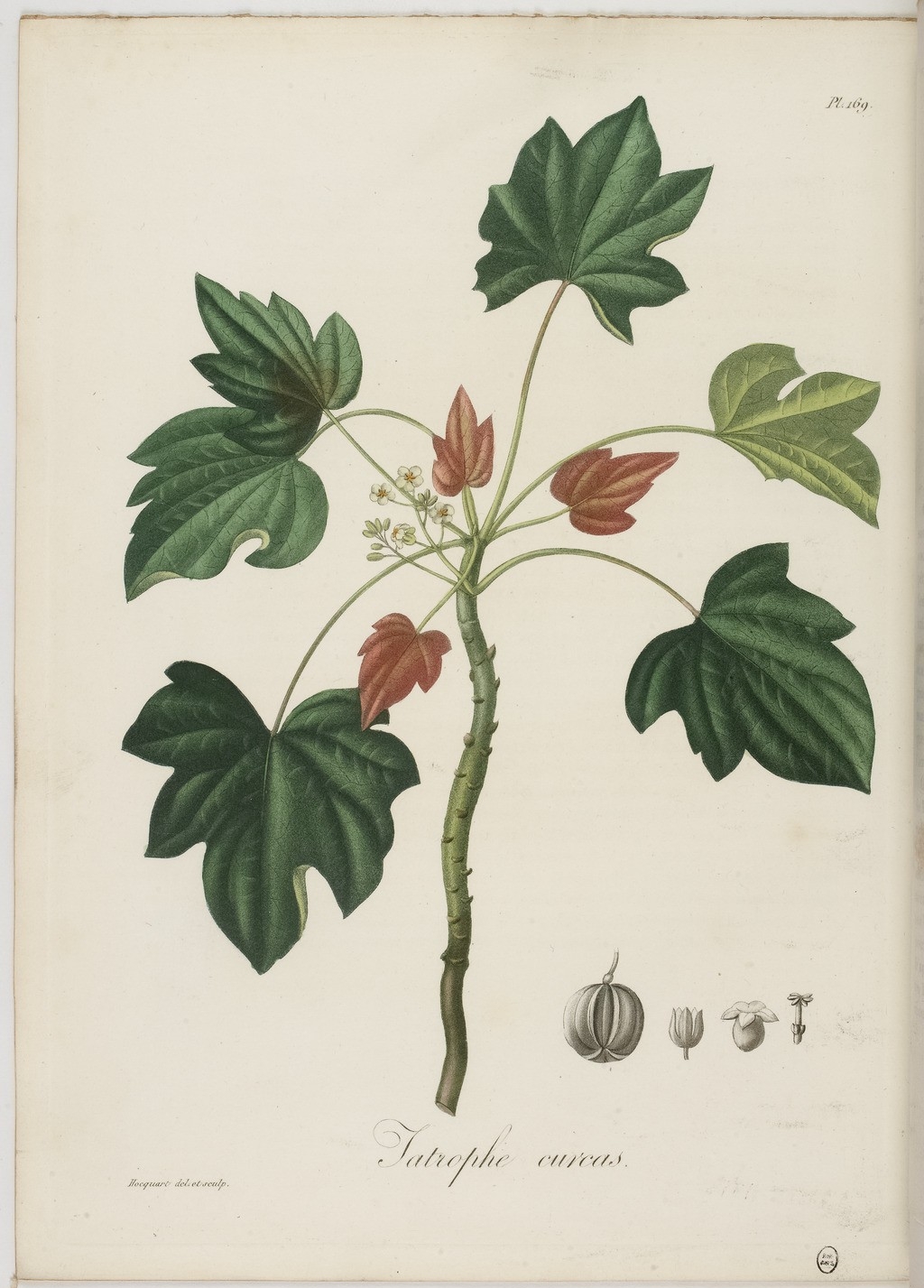 no full size  illustration available (3a)