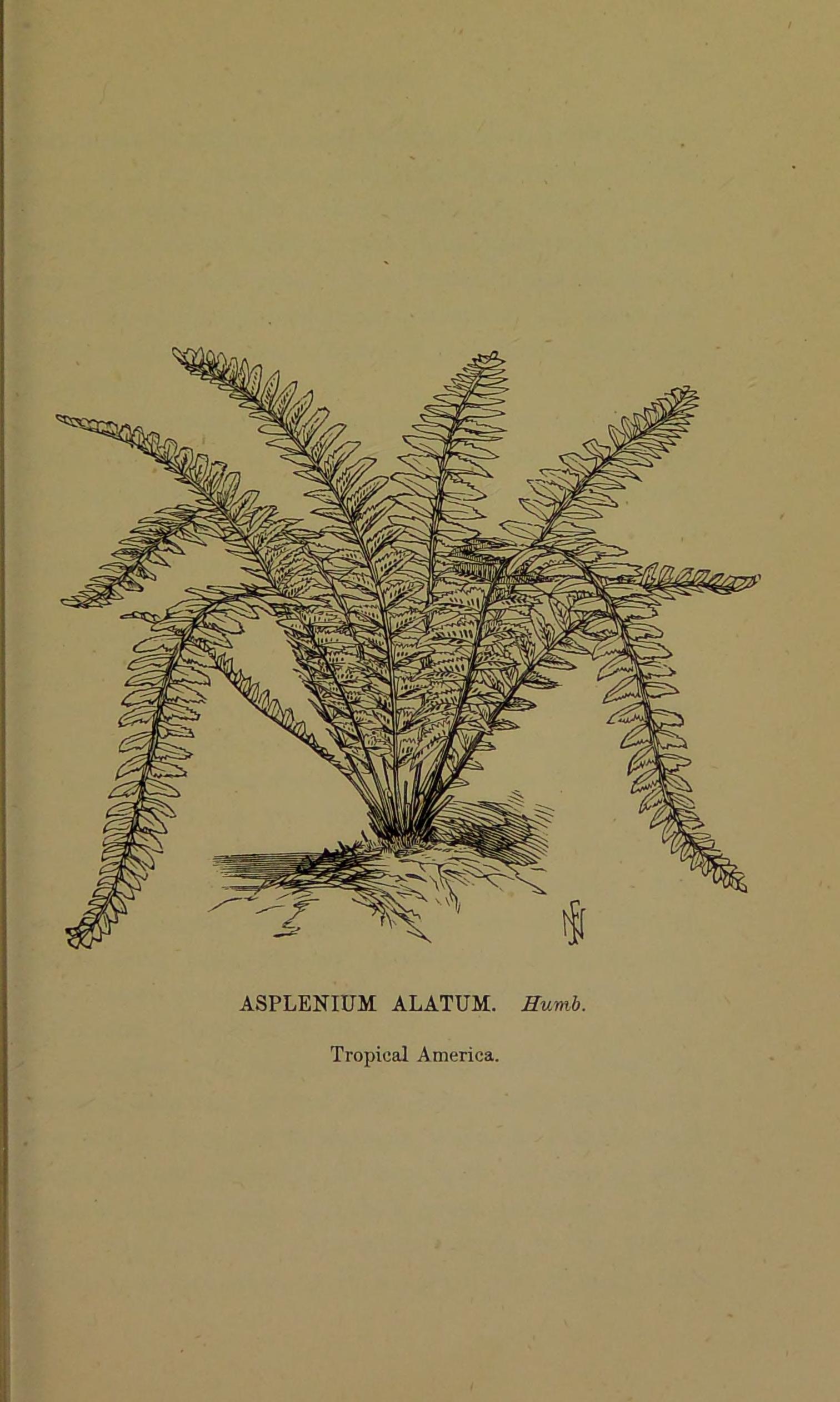 no full size  illustration available (3a)