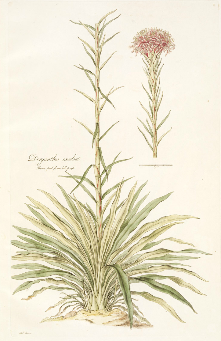 no full size  illustration available (3a)