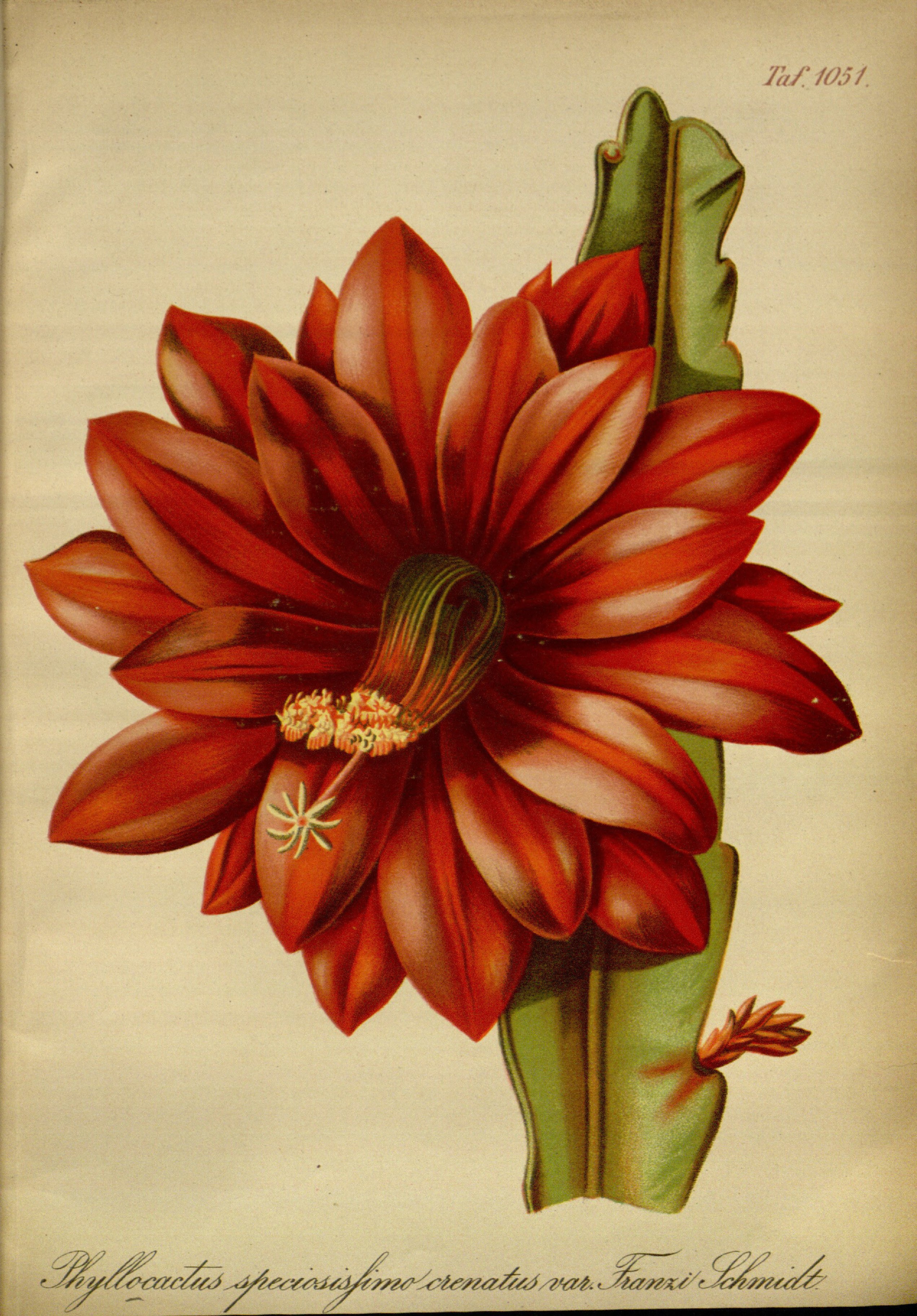 no full size  illustration available (3a)