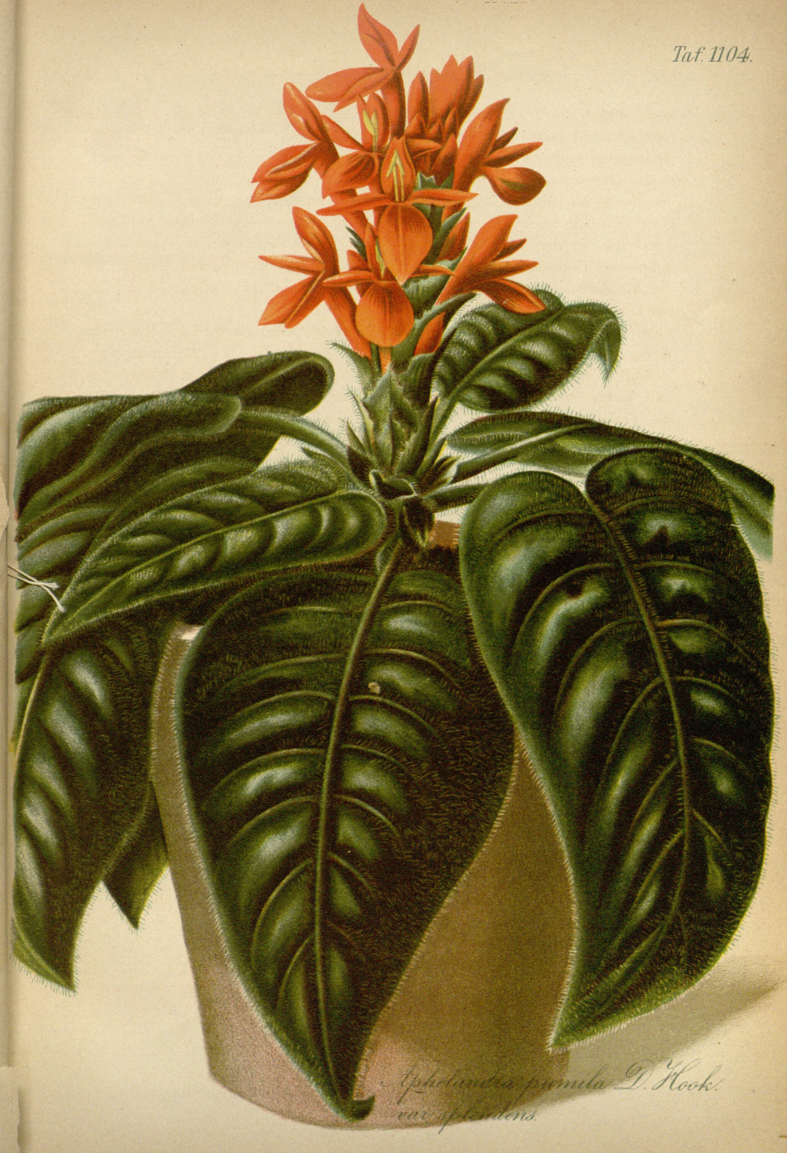 no full size  illustration available (3a)