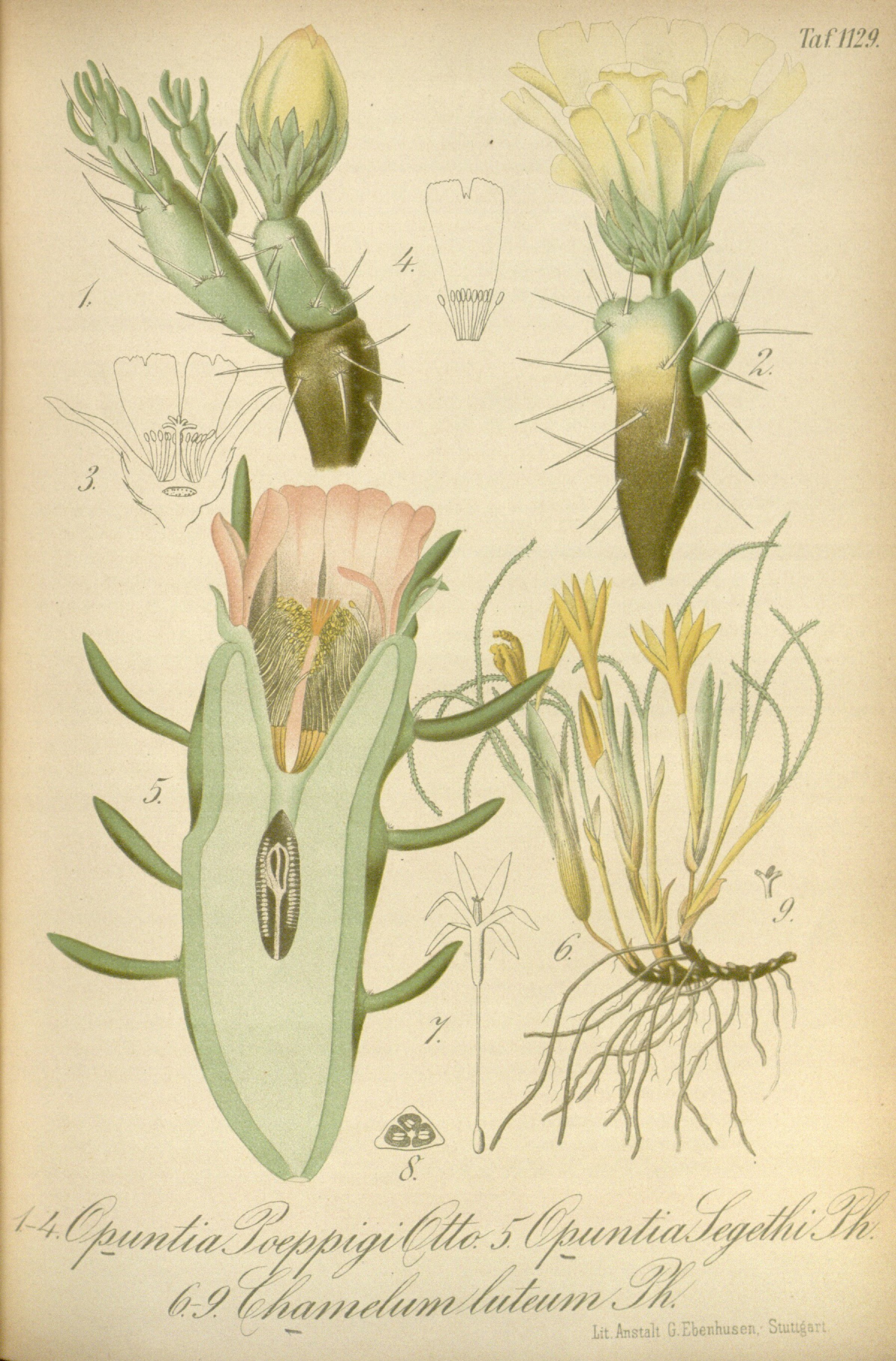 no full size  illustration available (3a)