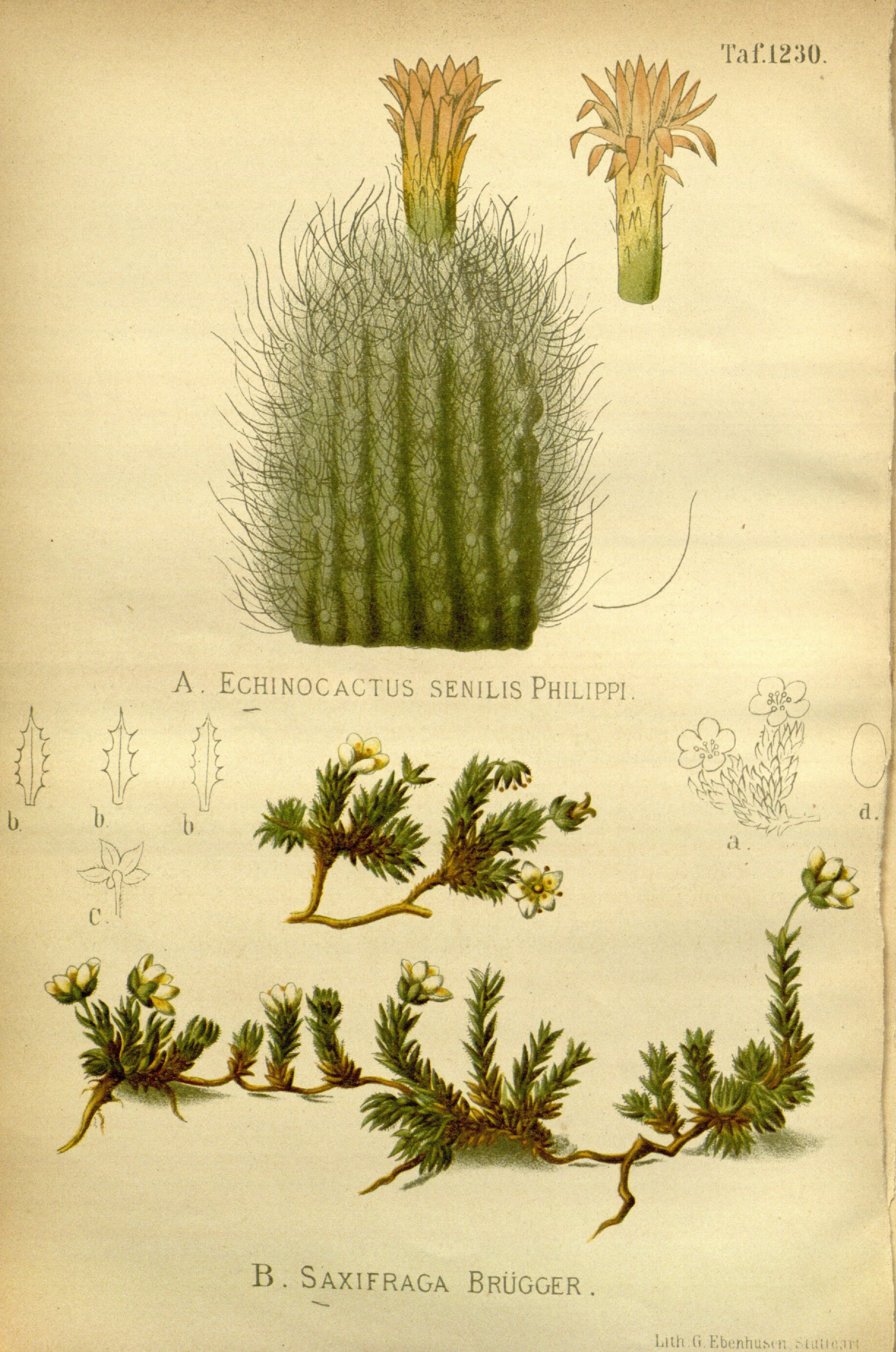 no full size  illustration available (3a)