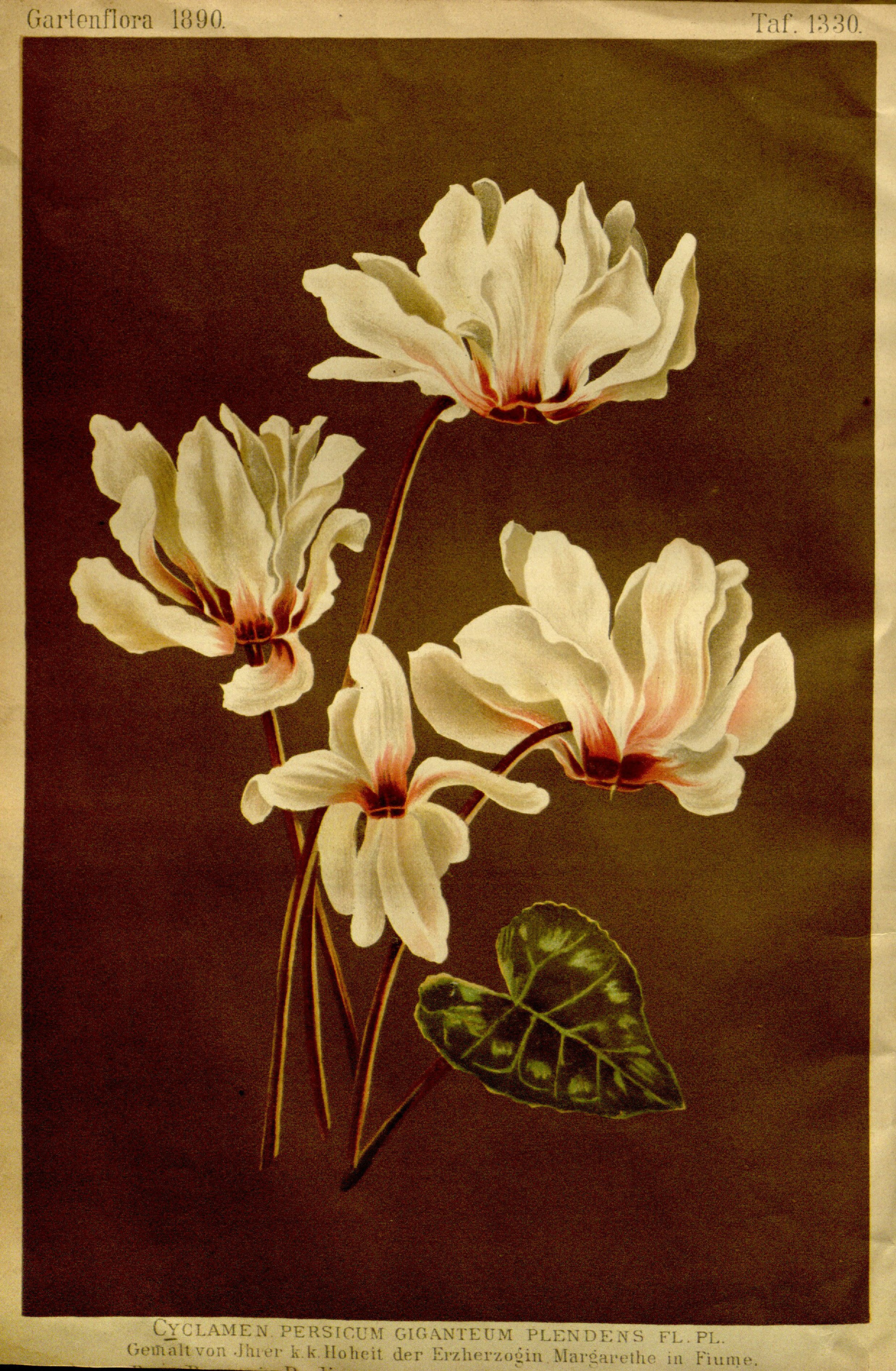 no full size  illustration available (3a)