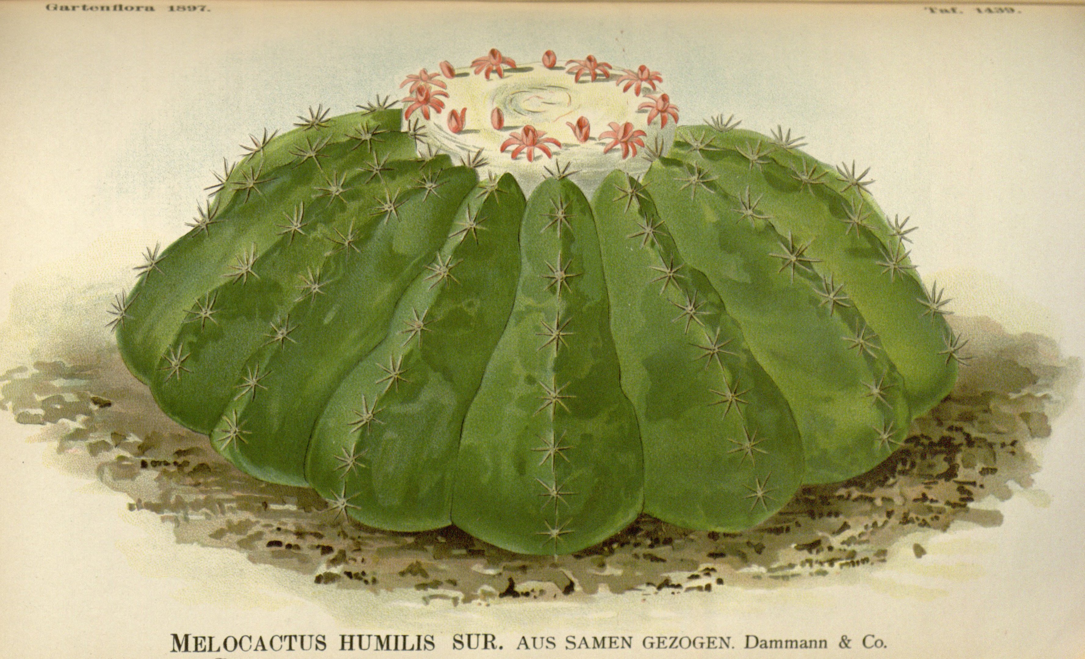 no full size  illustration available (3a)