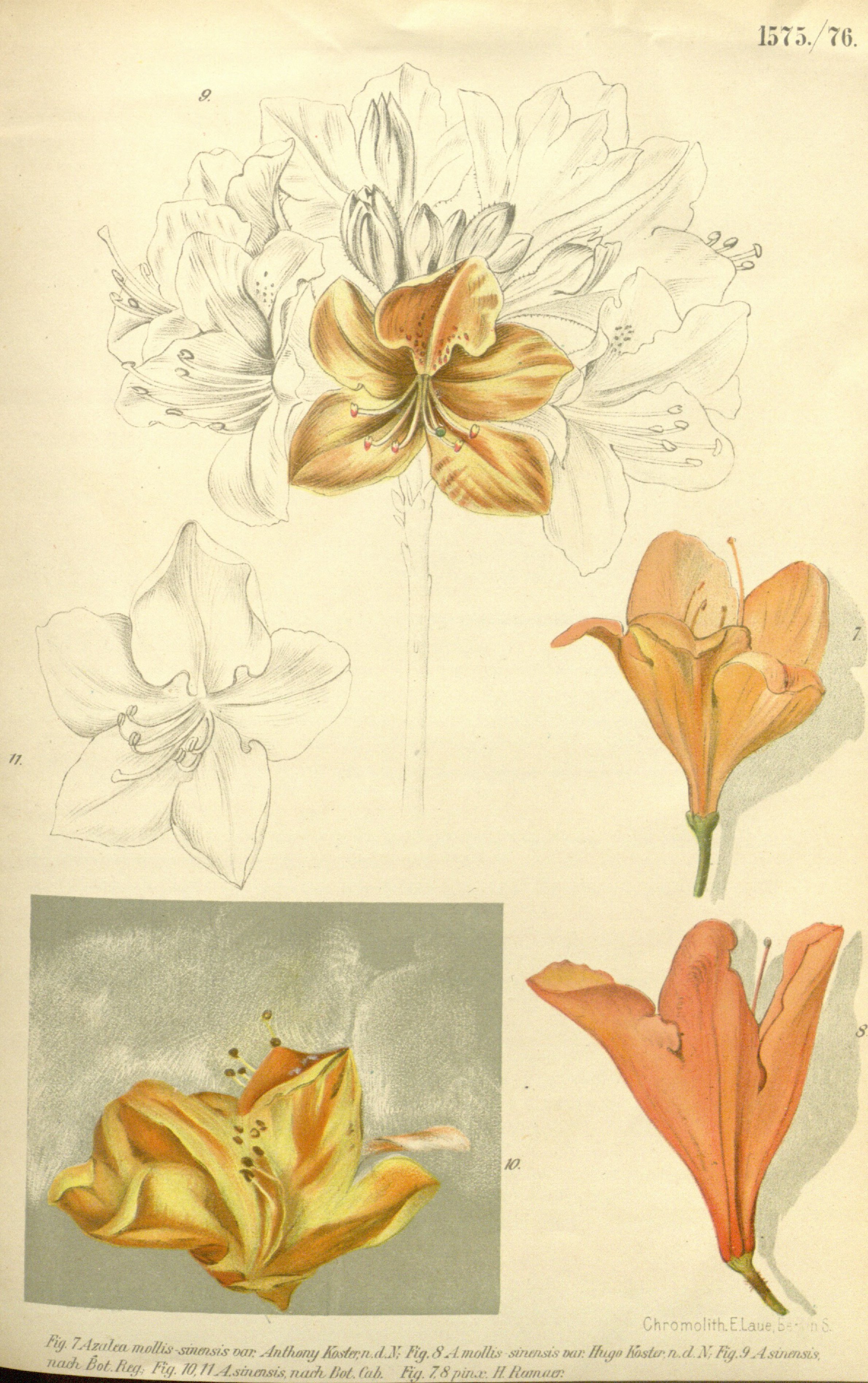 no full size  illustration available (3a)