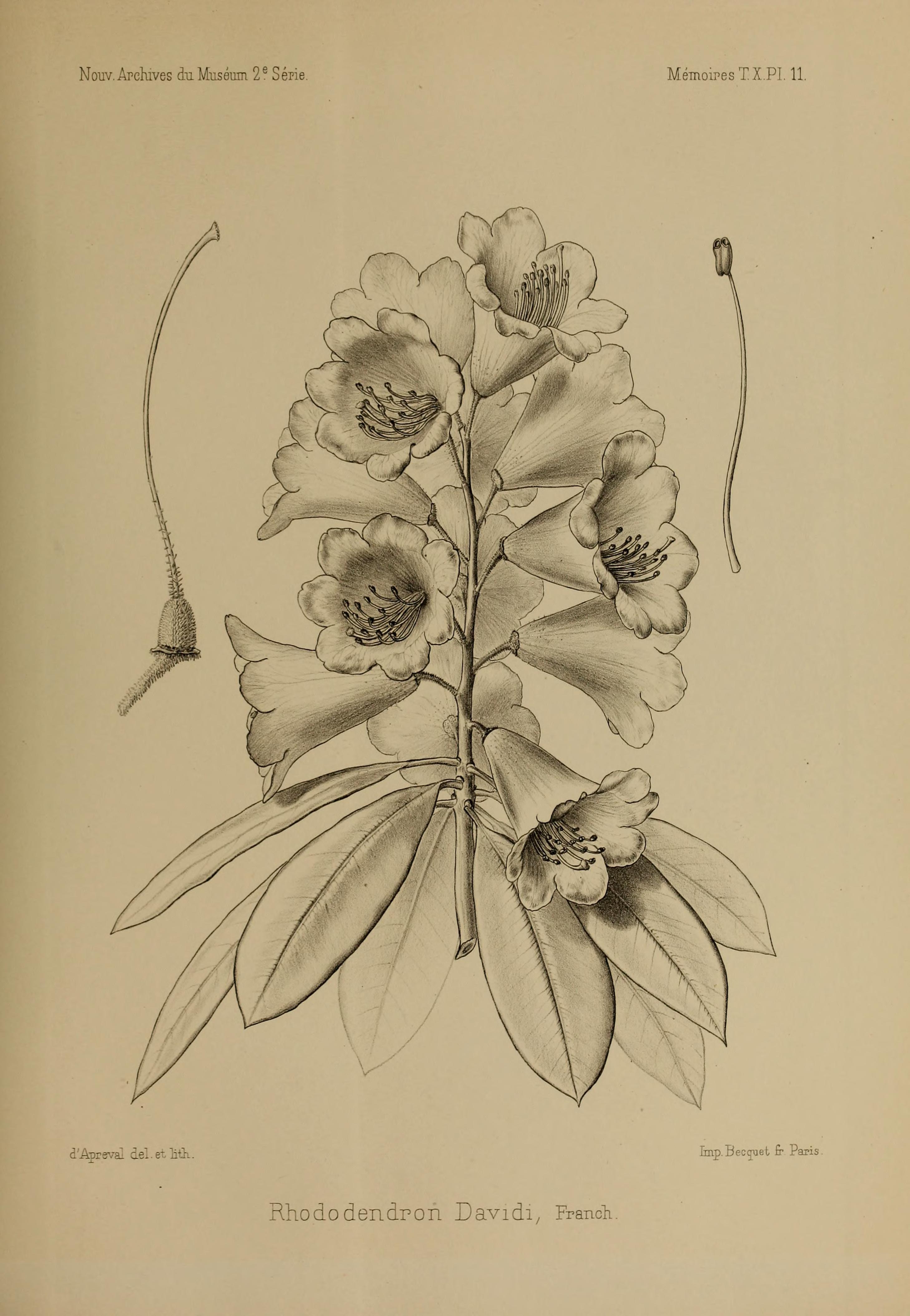 no full size  illustration available (3a)