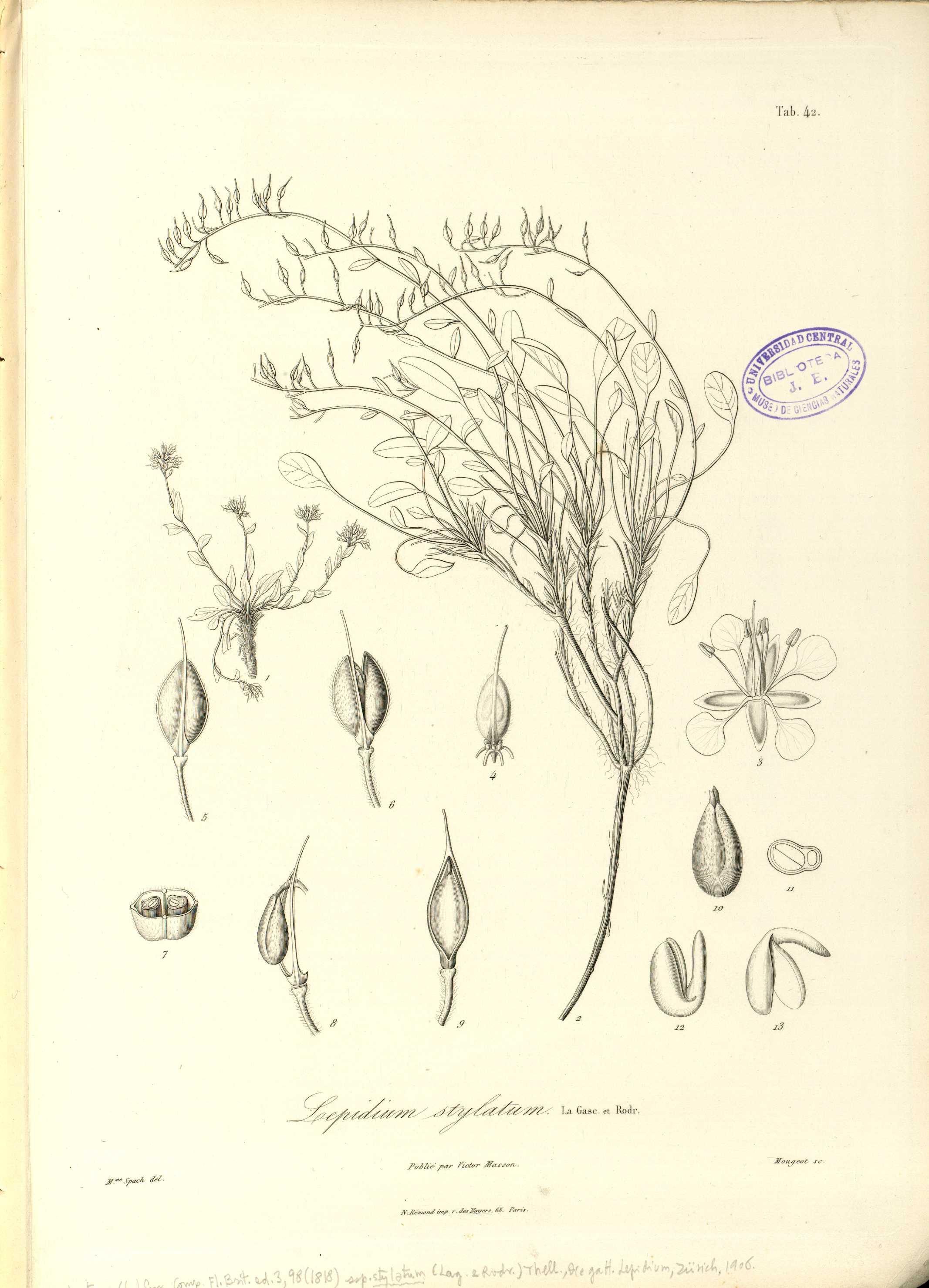 no full size  illustration available (3a)