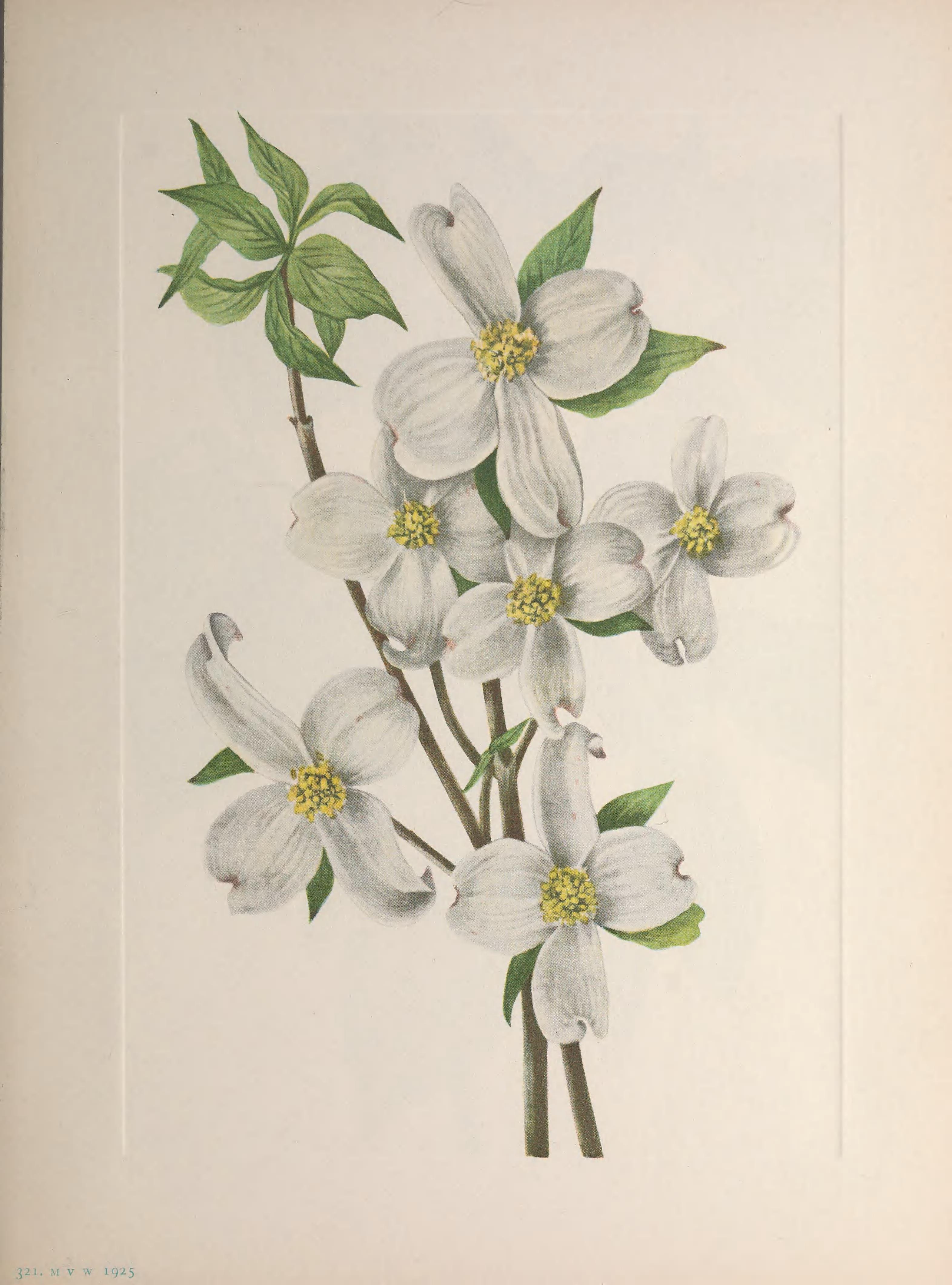 no full size  illustration available (3a)