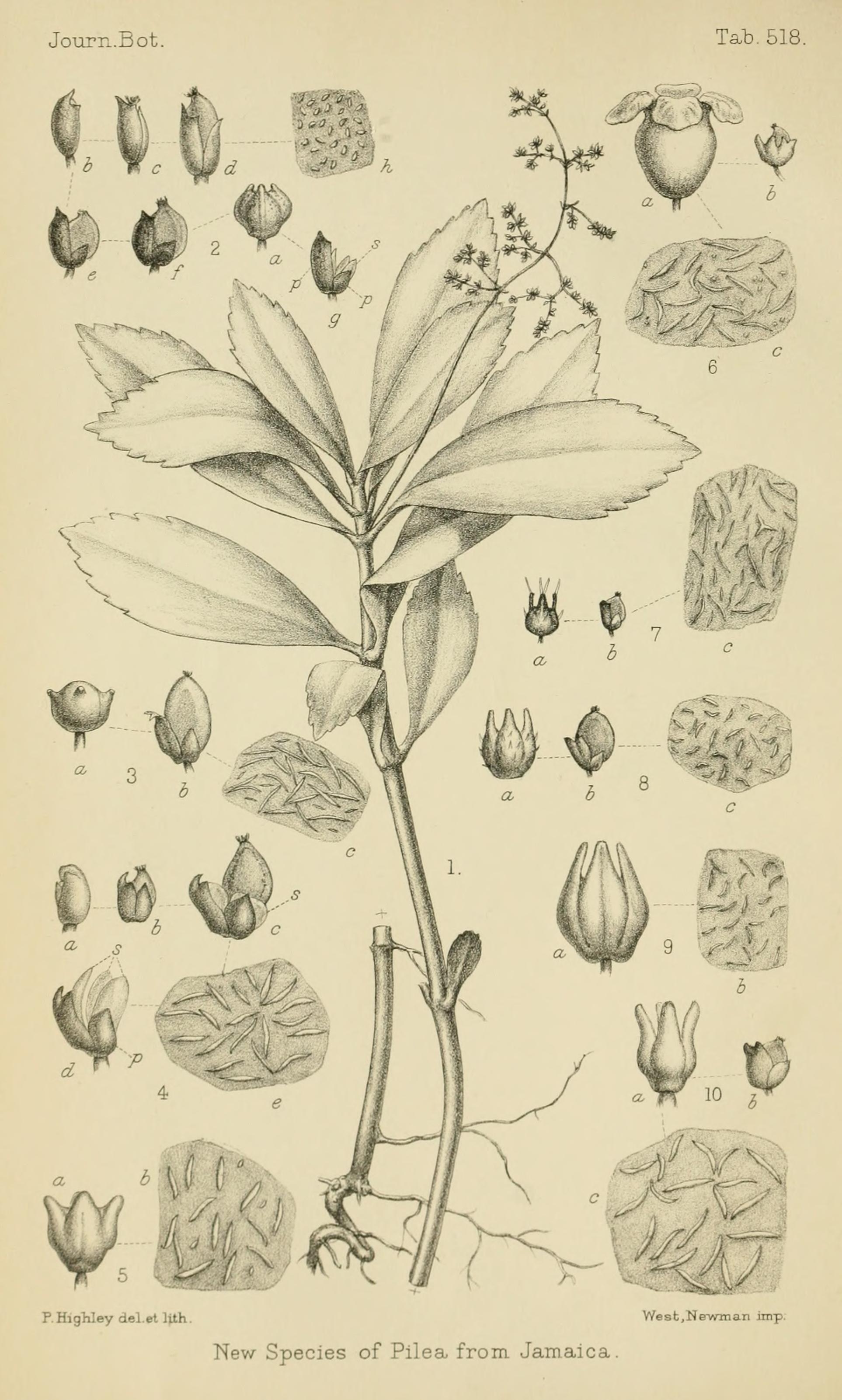 no full size  illustration available (3a)