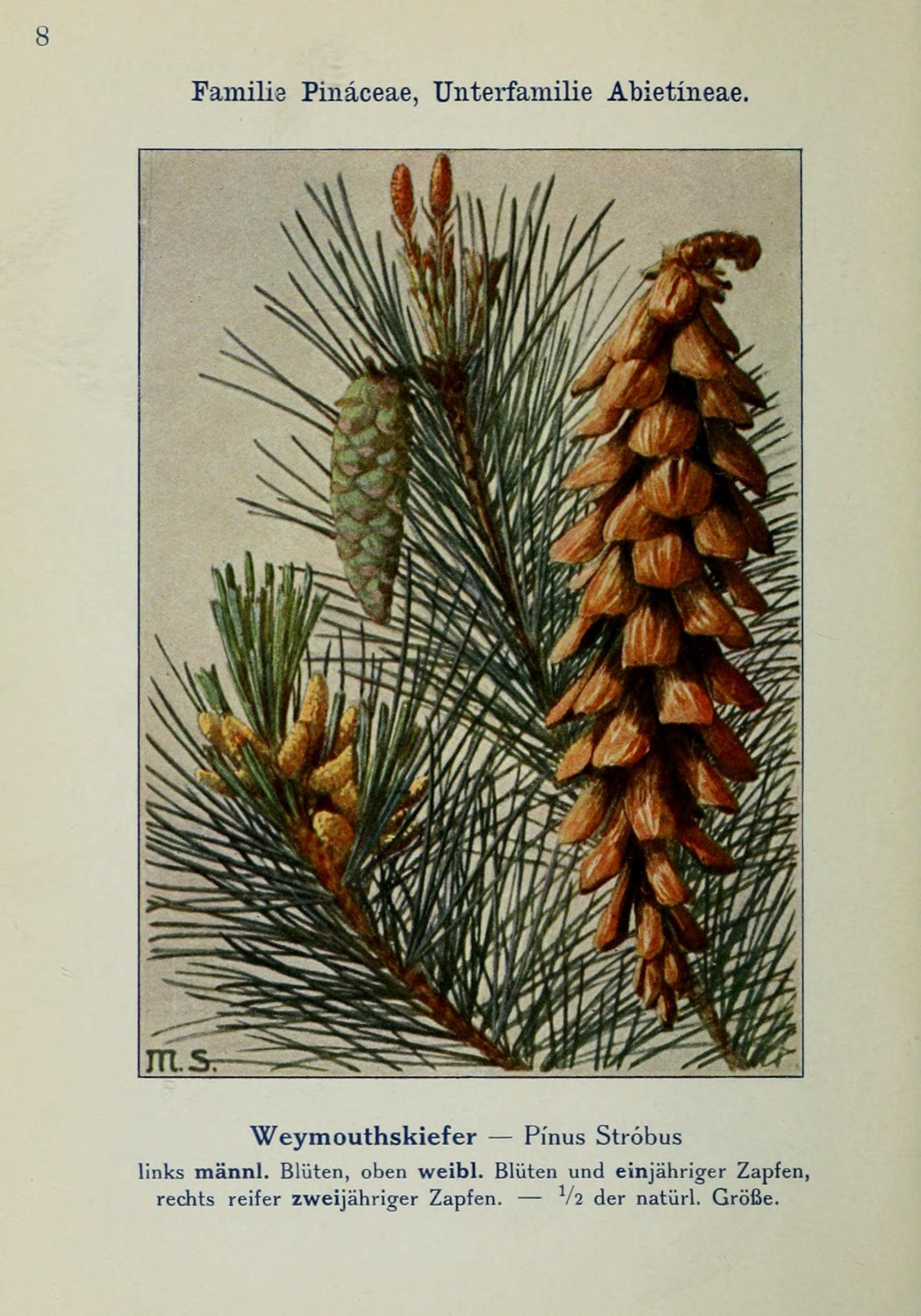 no full size  illustration available (3a)