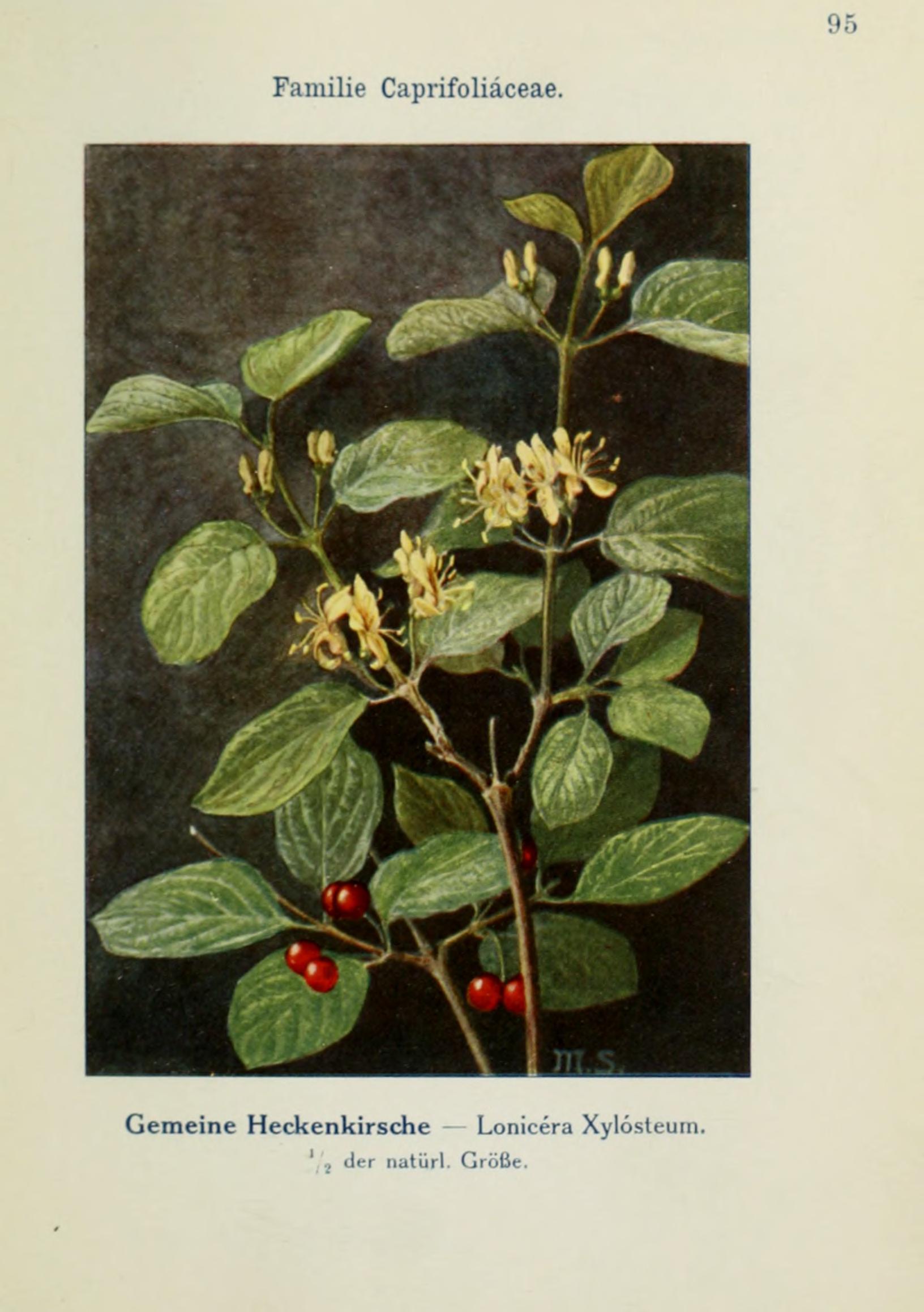 no full size  illustration available (3a)