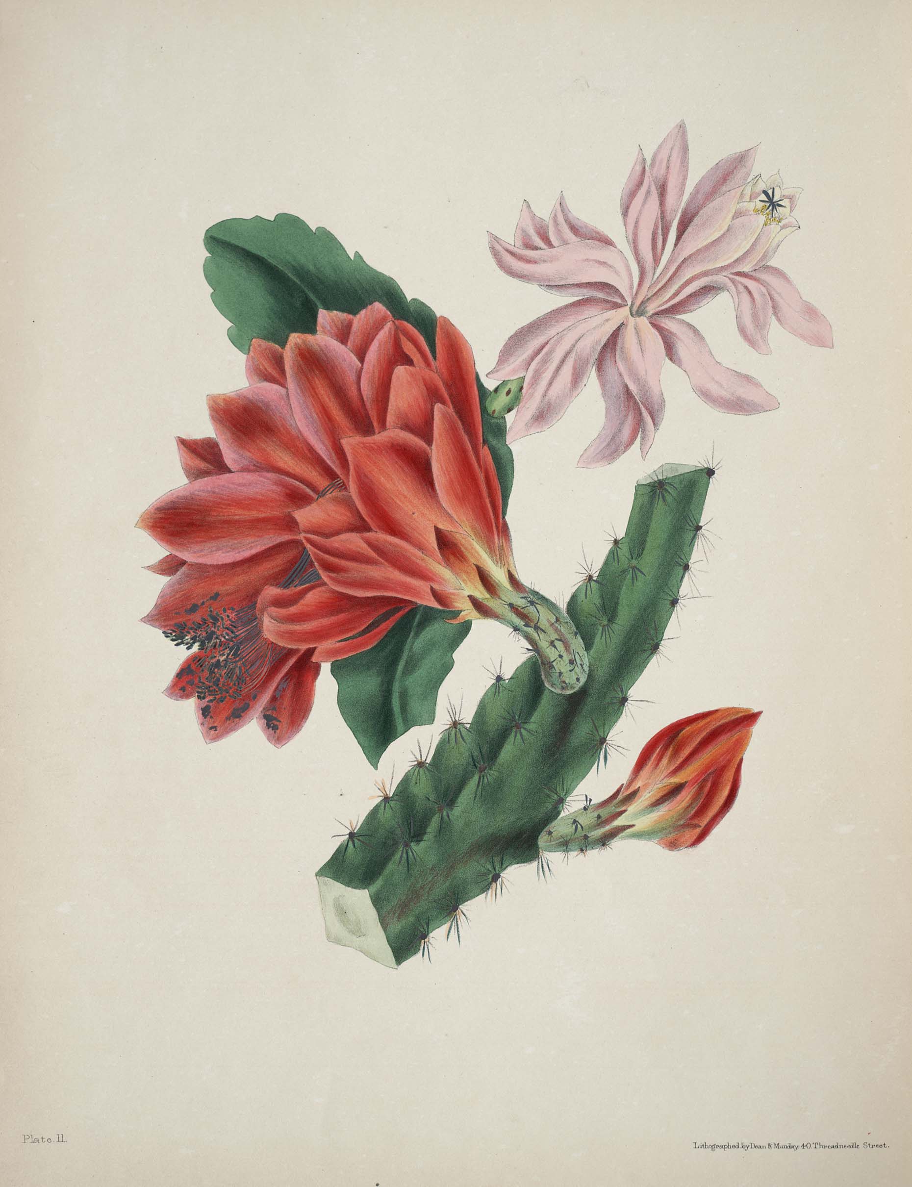 no full size  illustration available (3a)