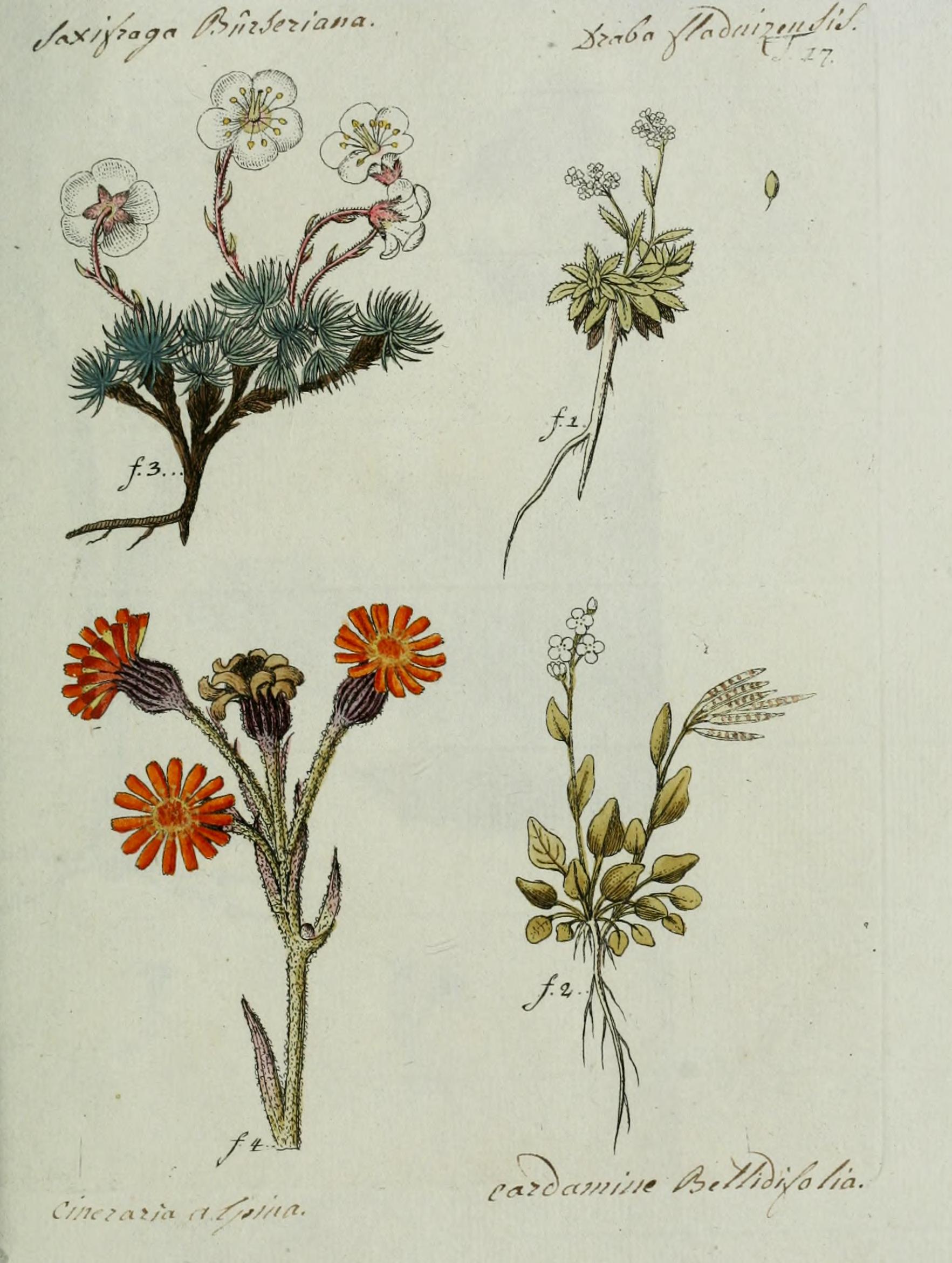 no full size  illustration available (3a)