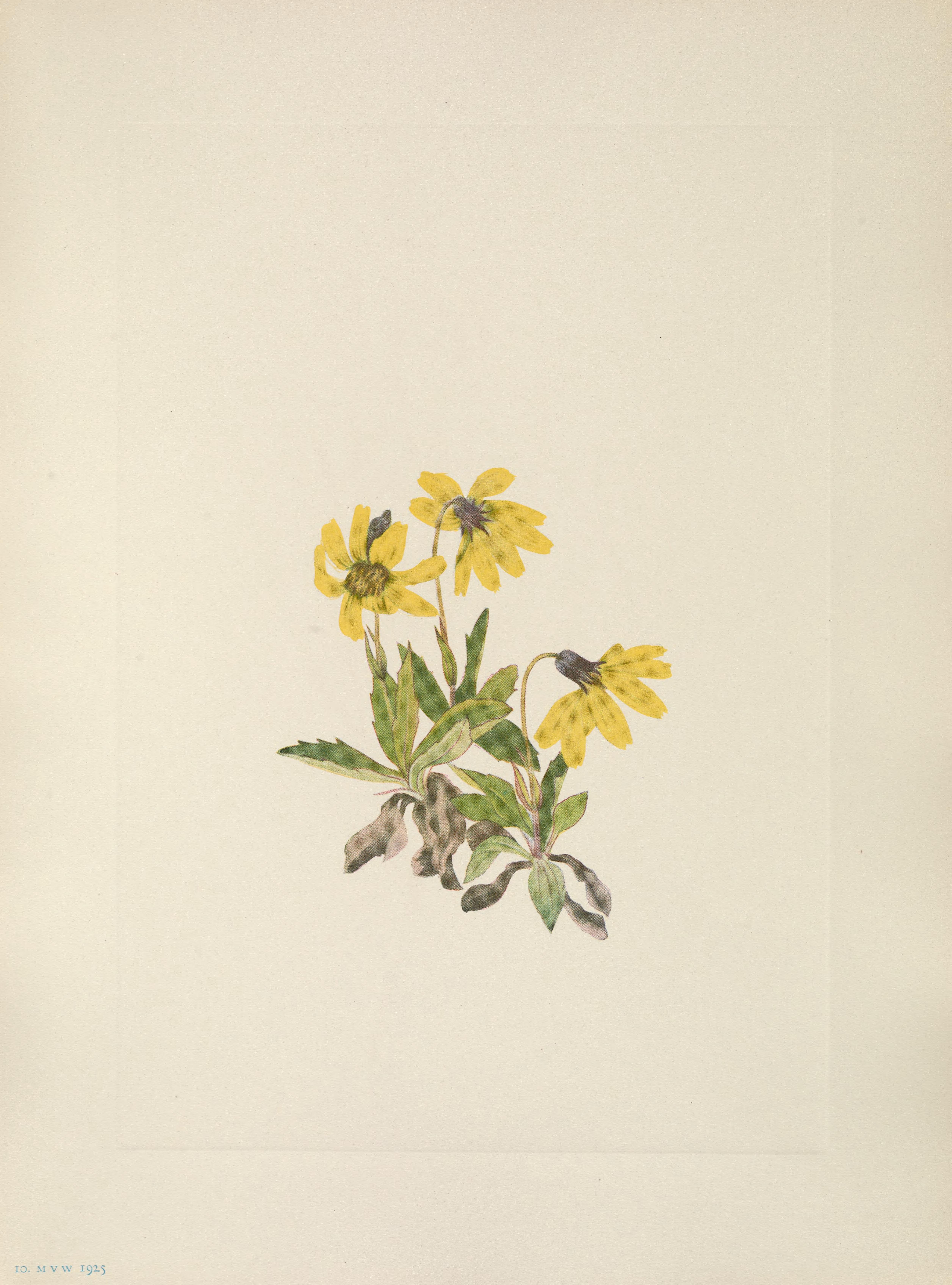 no full size  illustration available (3a)