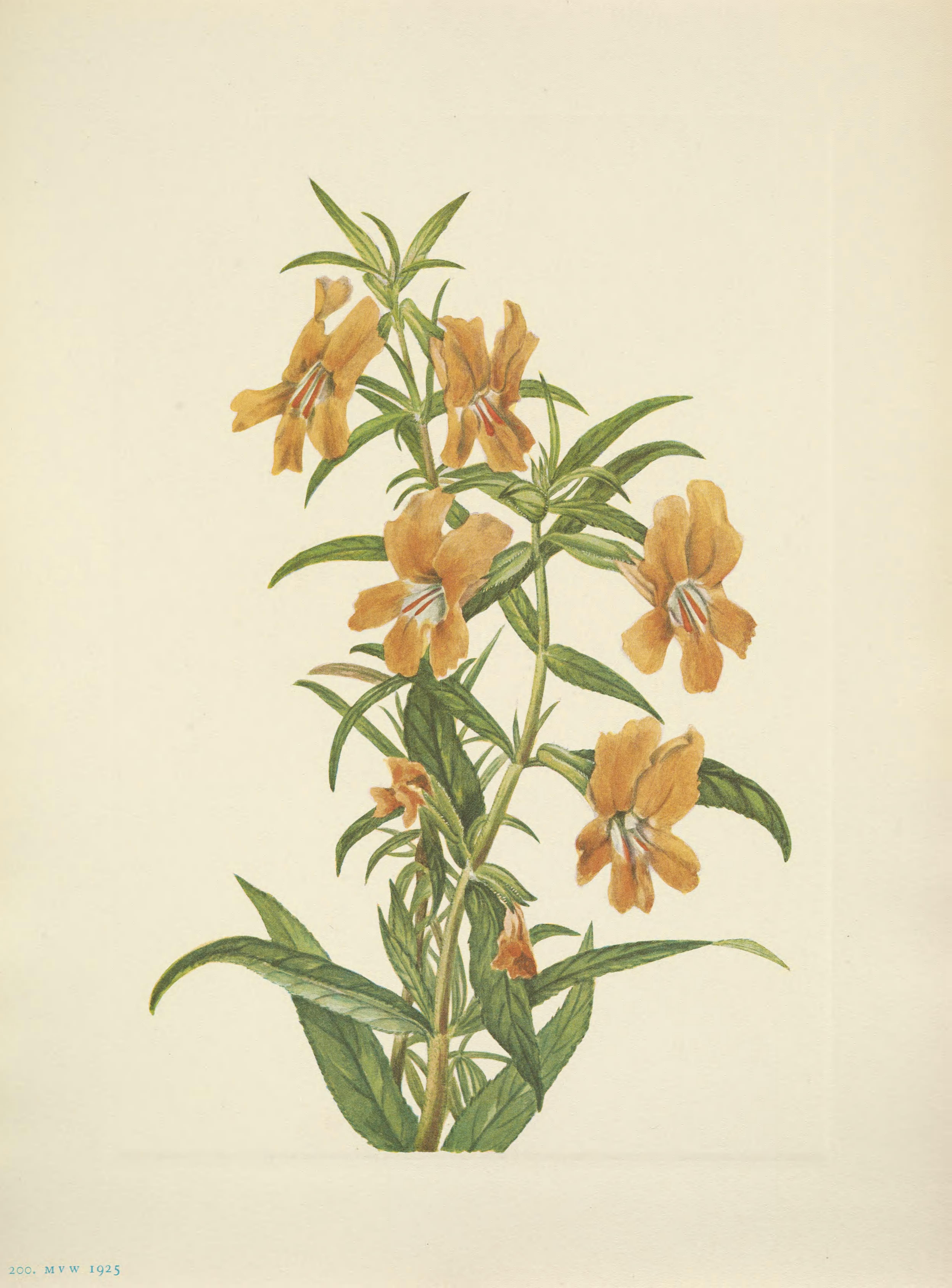 no full size  illustration available (3a)