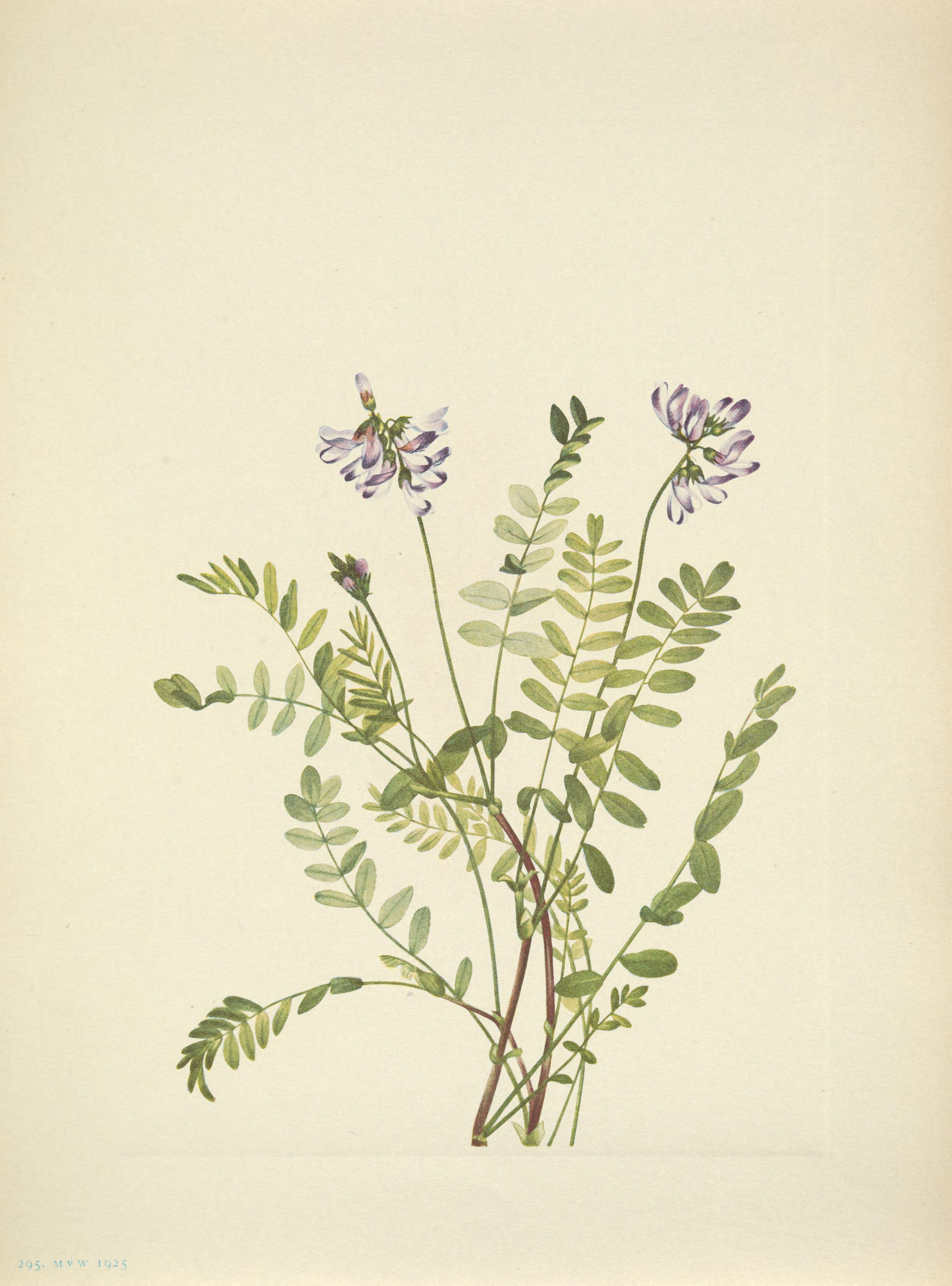 no full size  illustration available (3a)