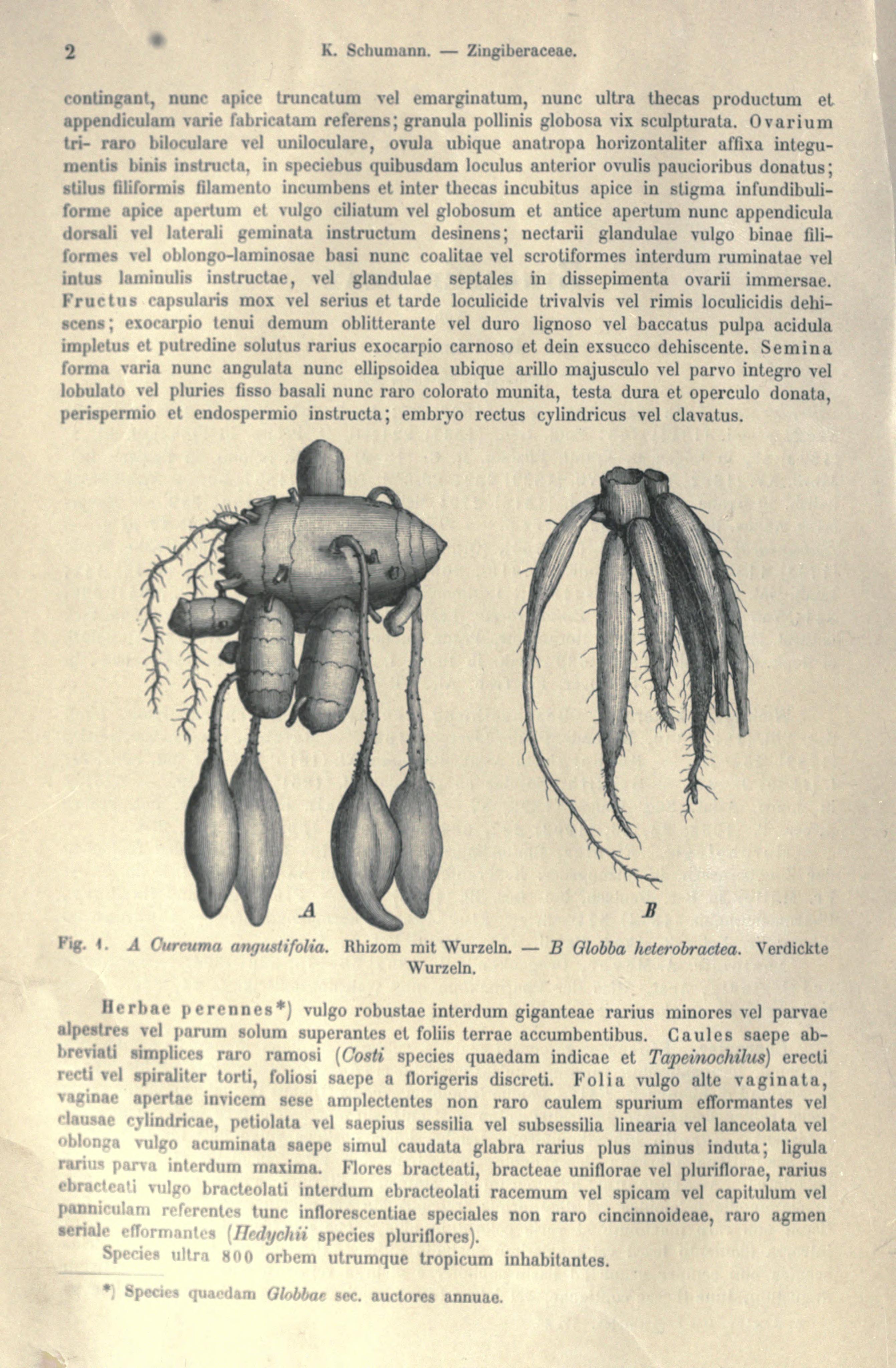 no full size  illustration available (3a)