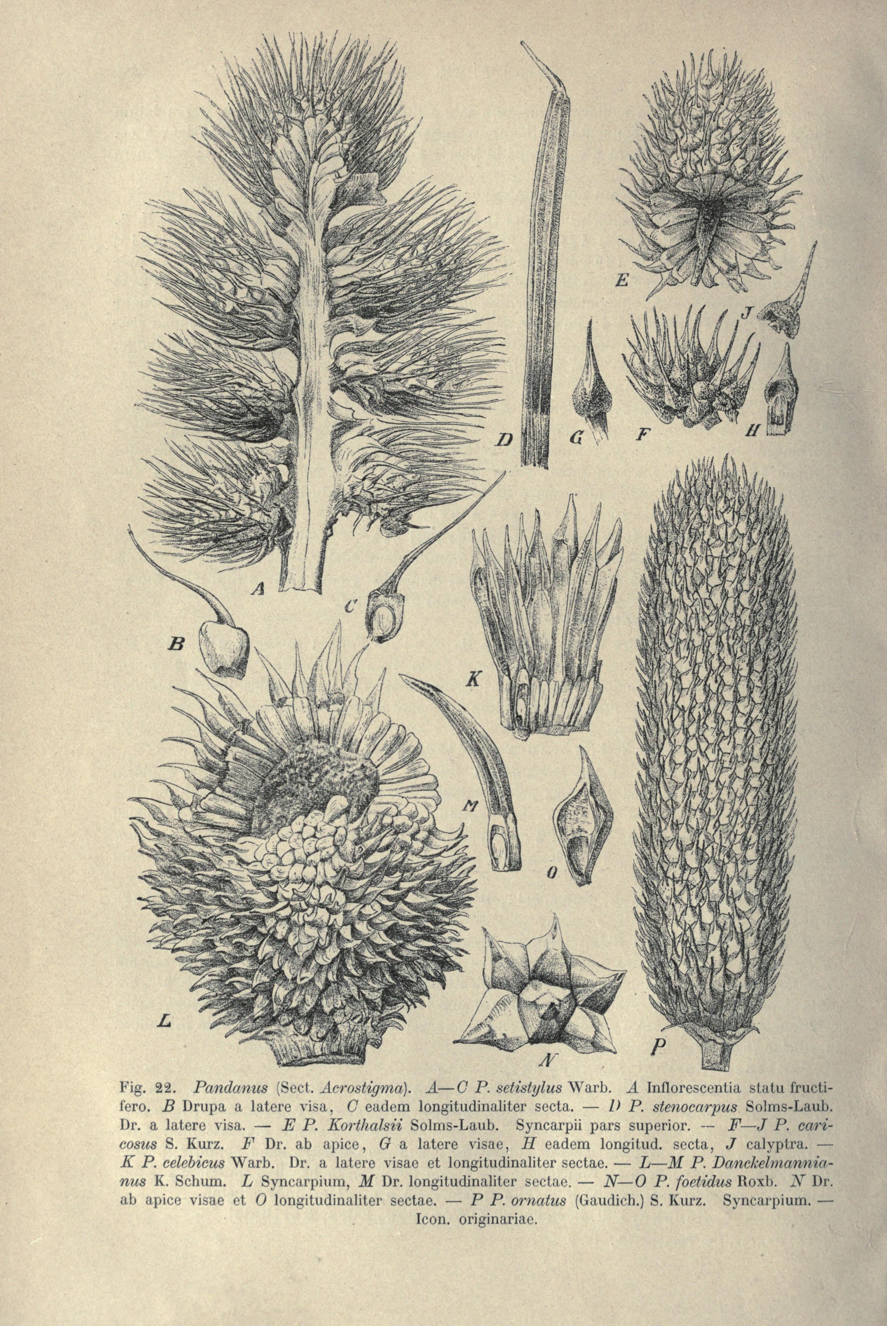 no full size  illustration available (3a)