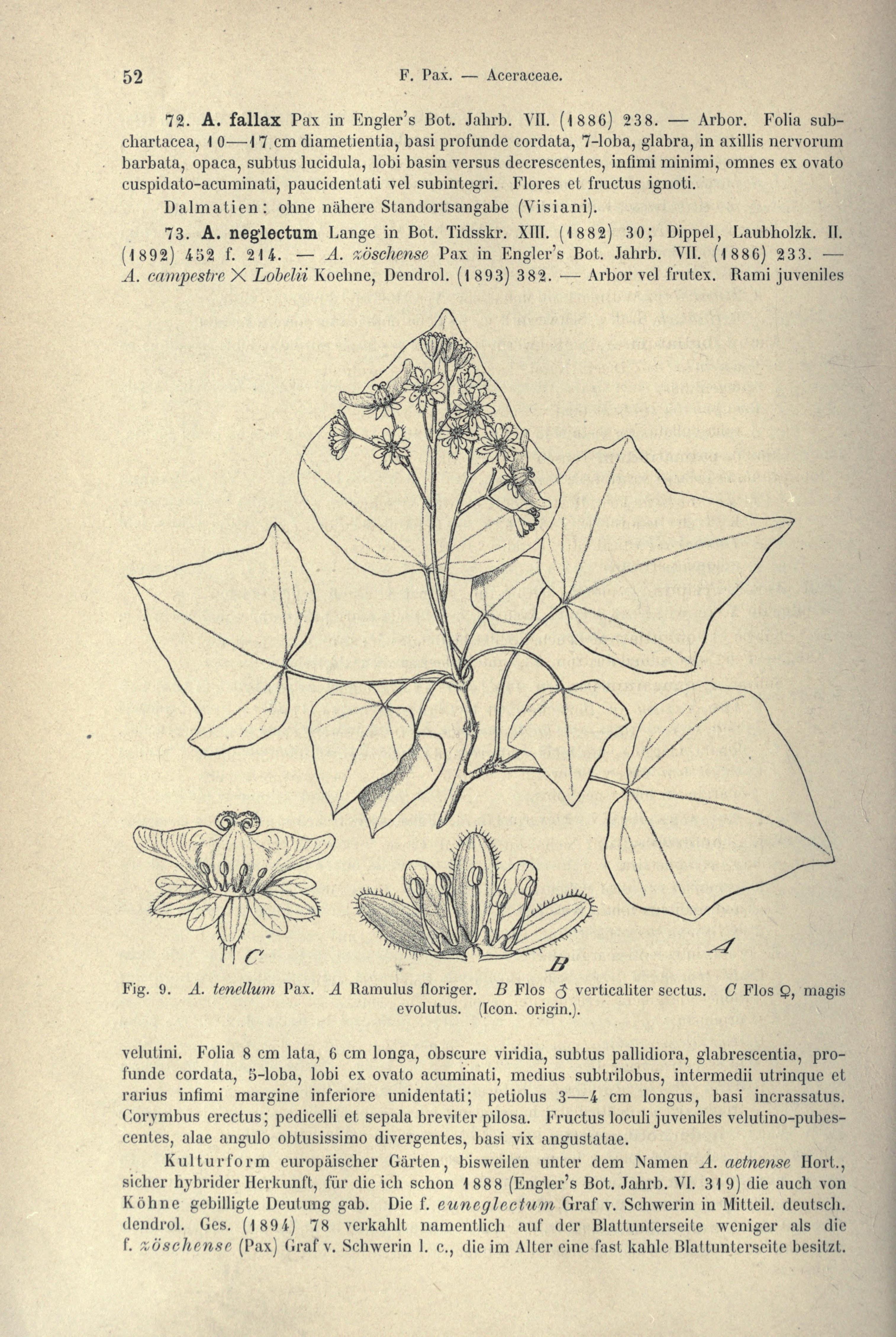 no full size  illustration available (3a)