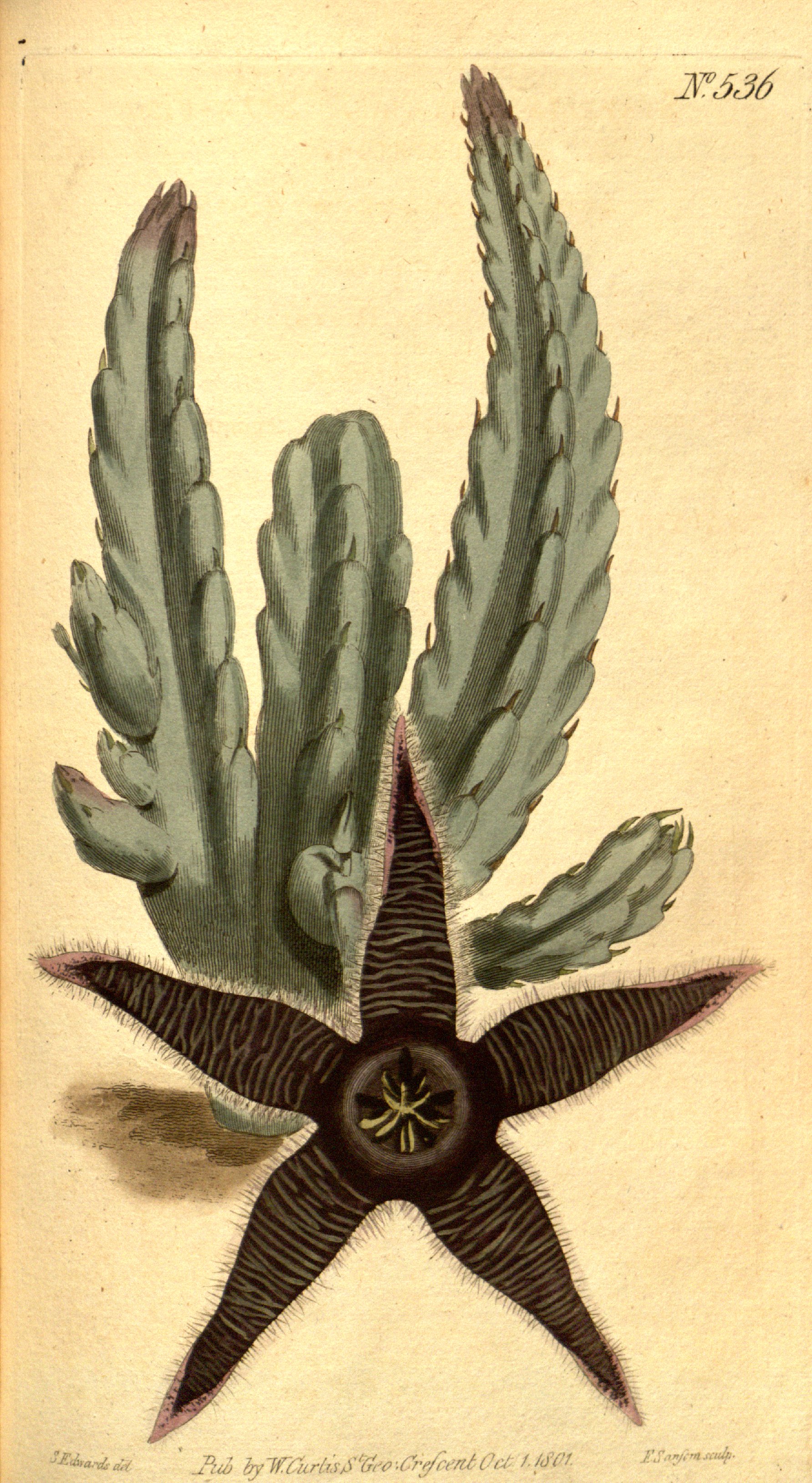 no full size  illustration available (3a)