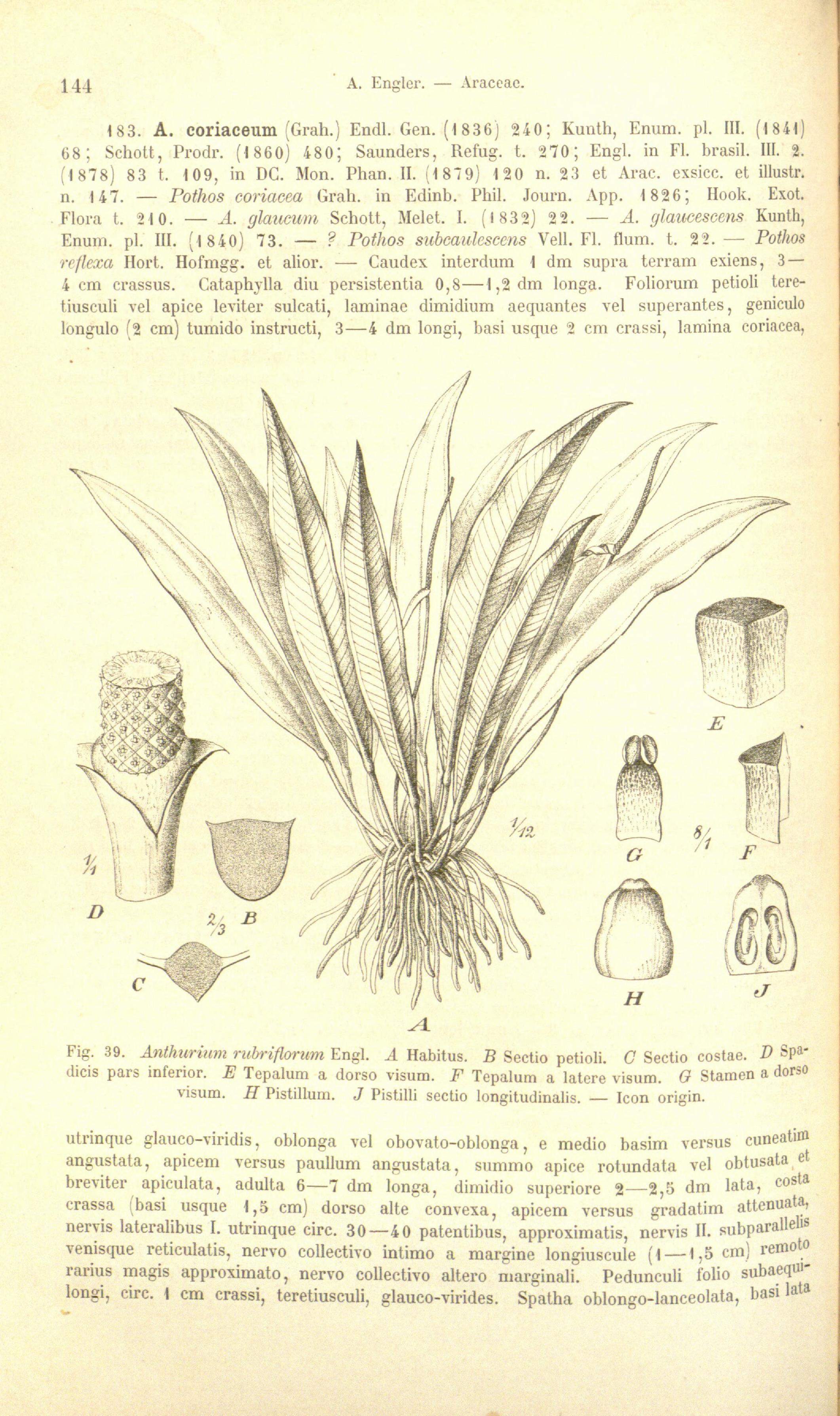 no full size  illustration available (3a)