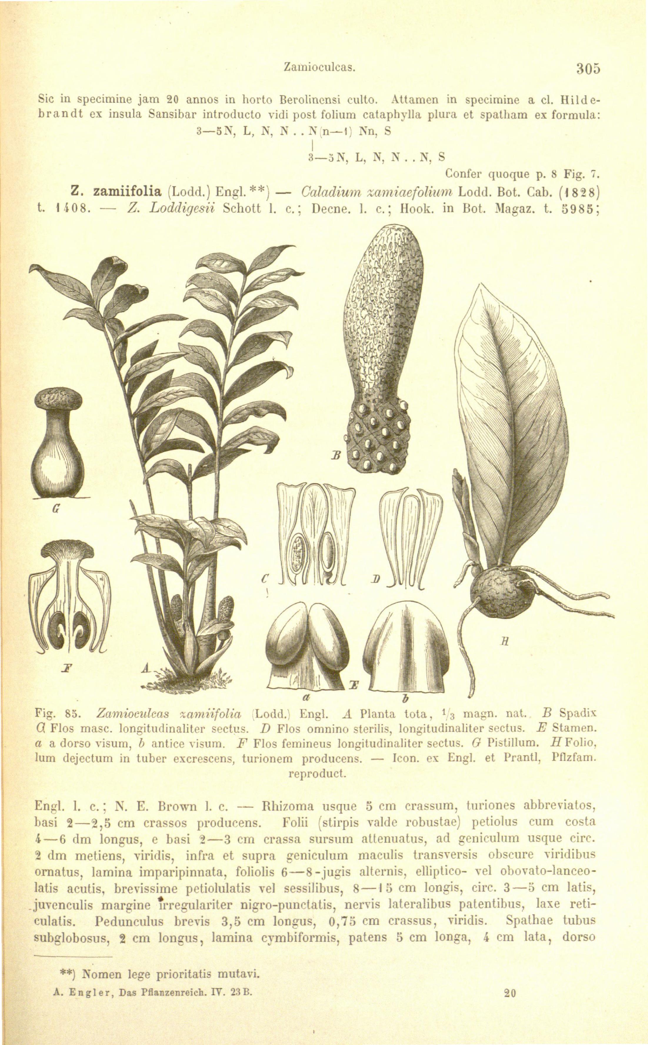 no full size  illustration available (3a)