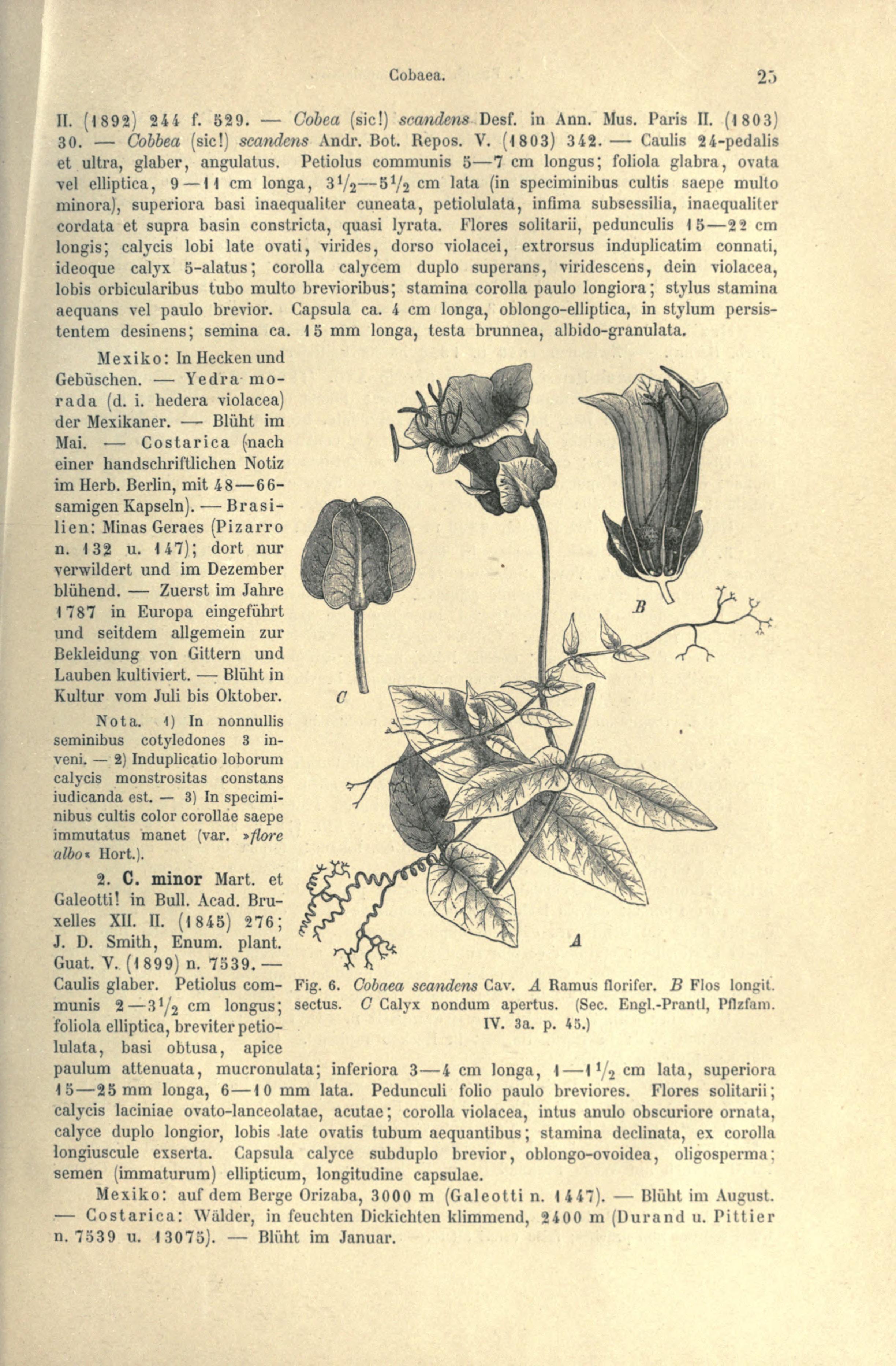 no full size  illustration available (3a)