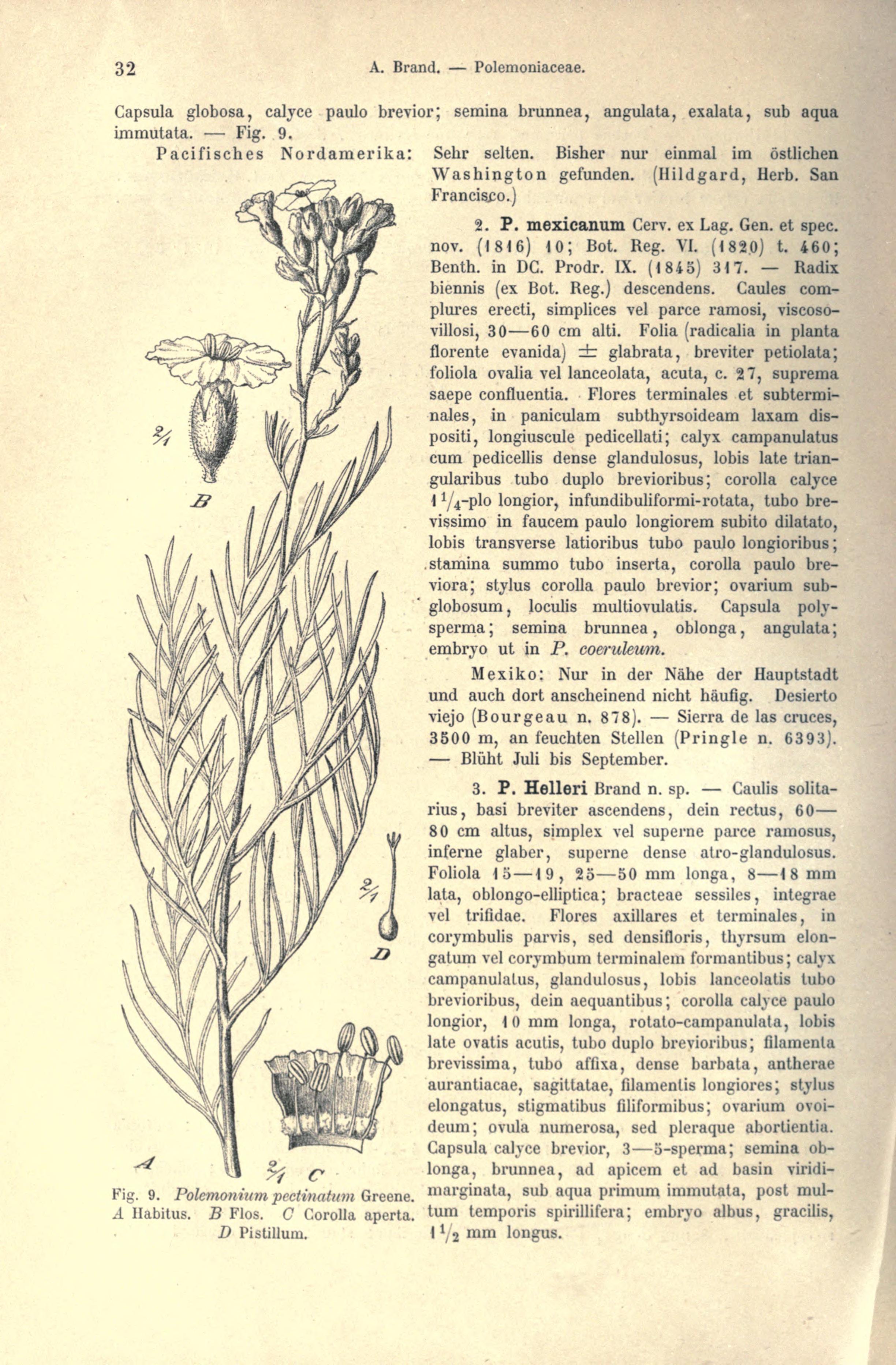 no full size  illustration available (3a)