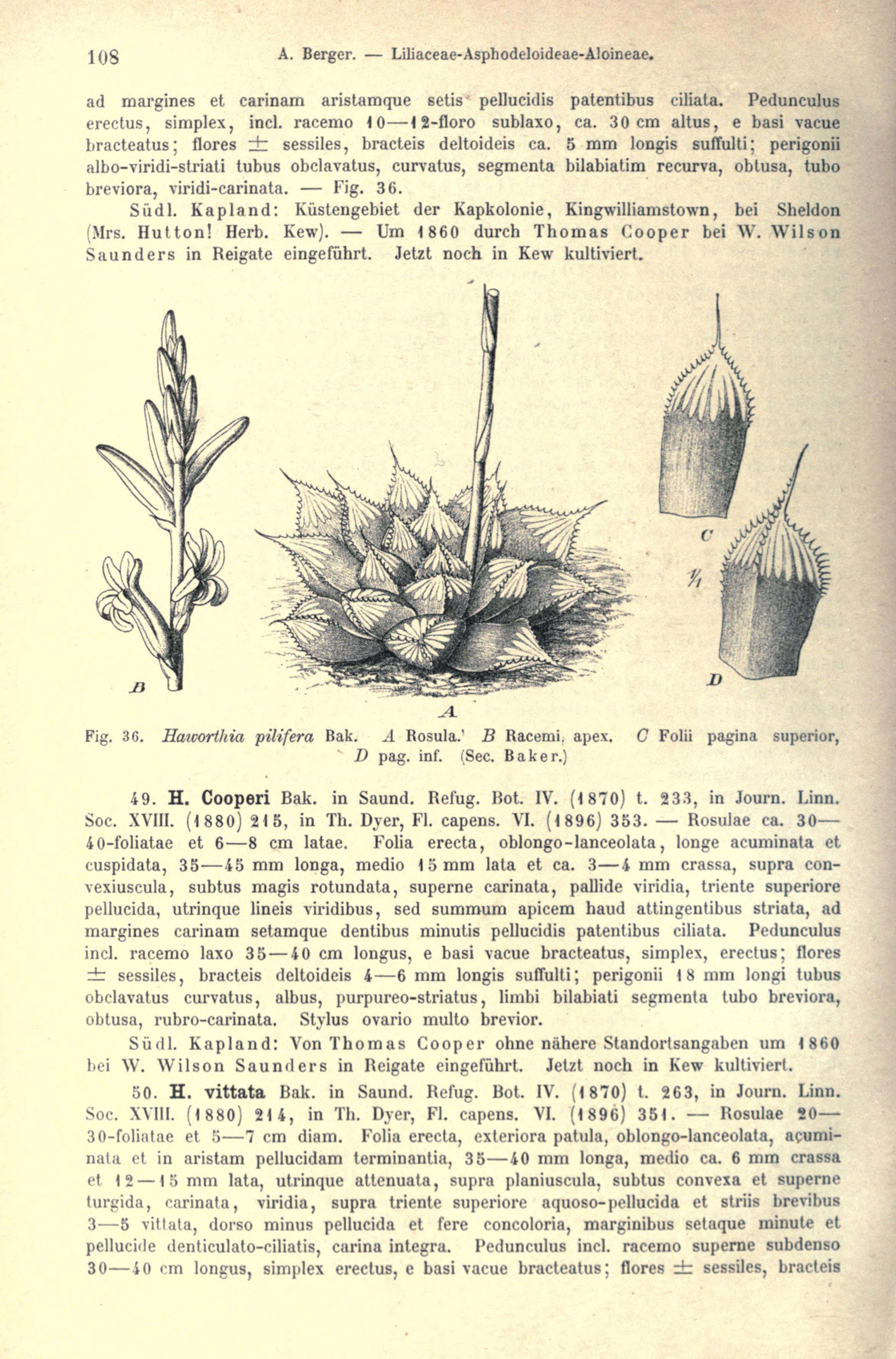 no full size  illustration available (3a)