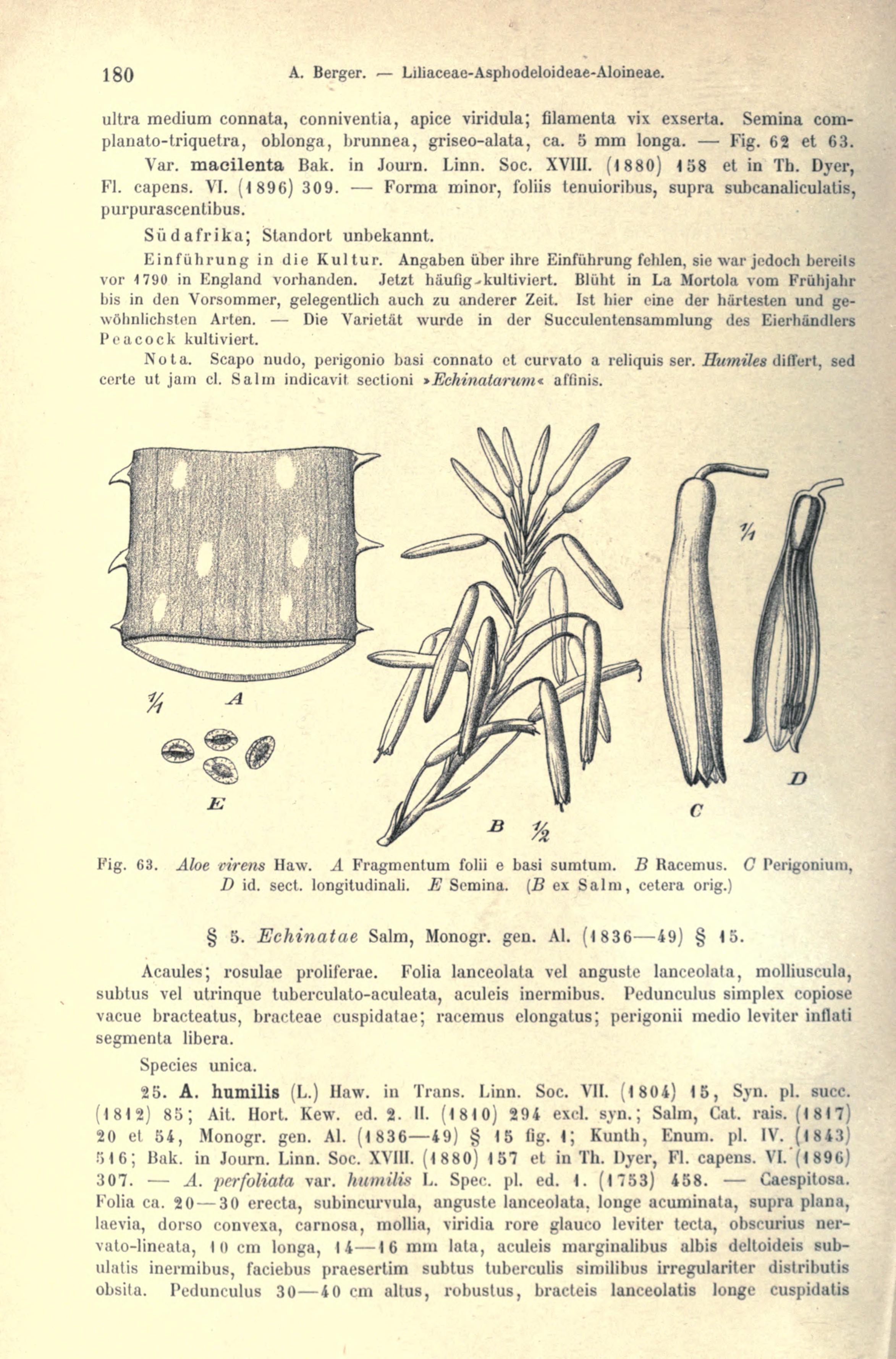 no full size  illustration available (3a)