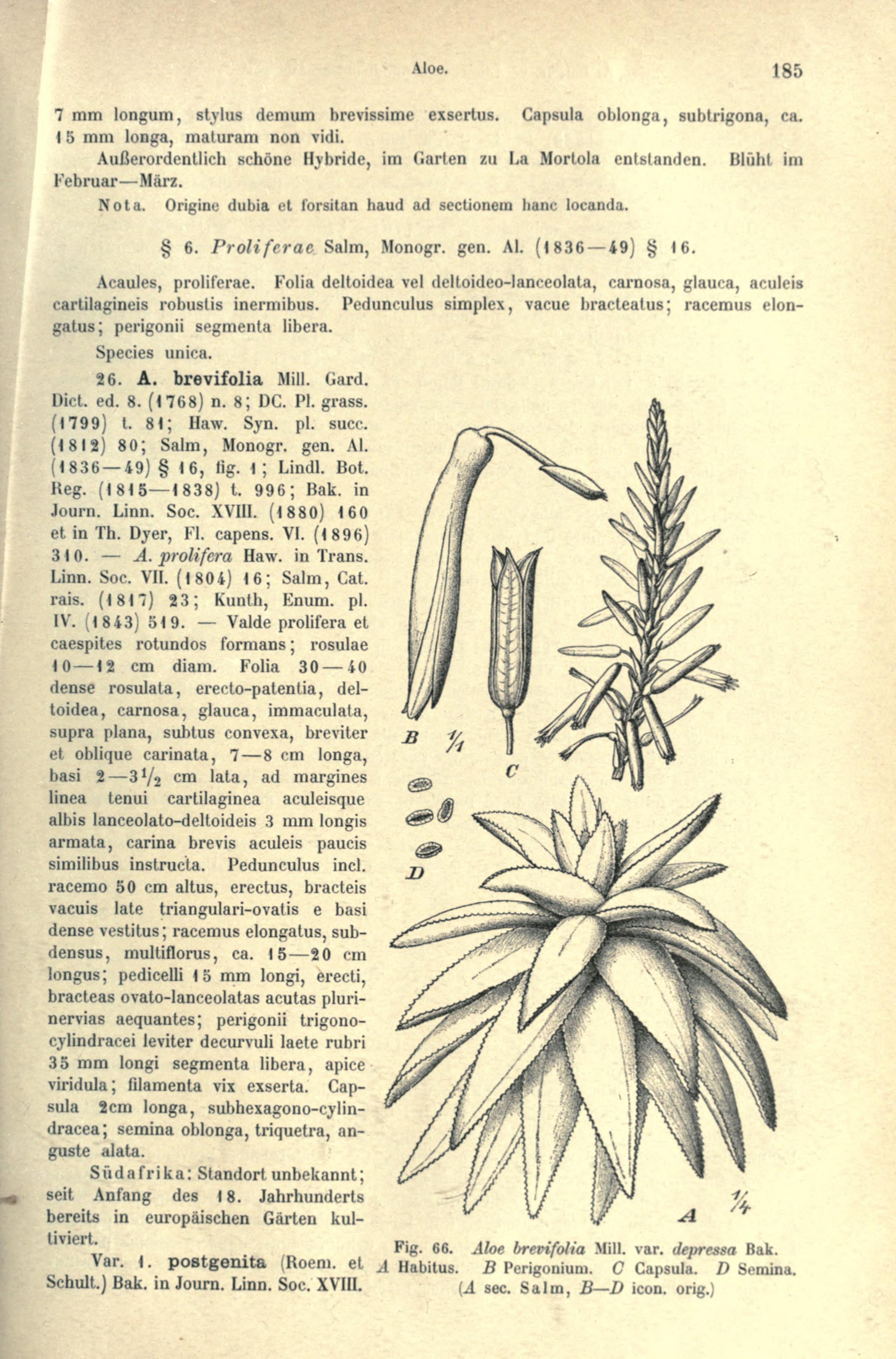 no full size  illustration available (3a)