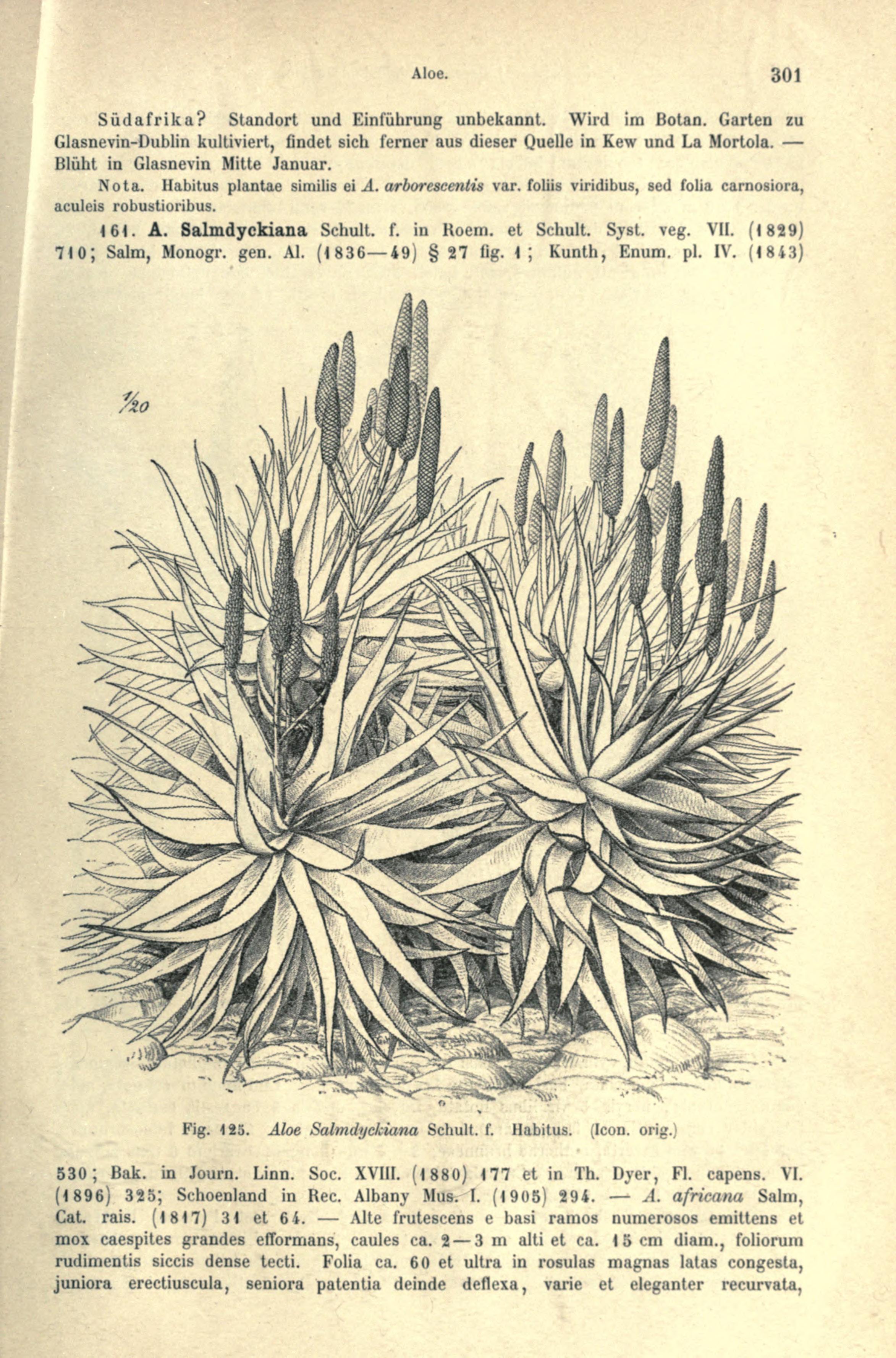 no full size  illustration available (3a)