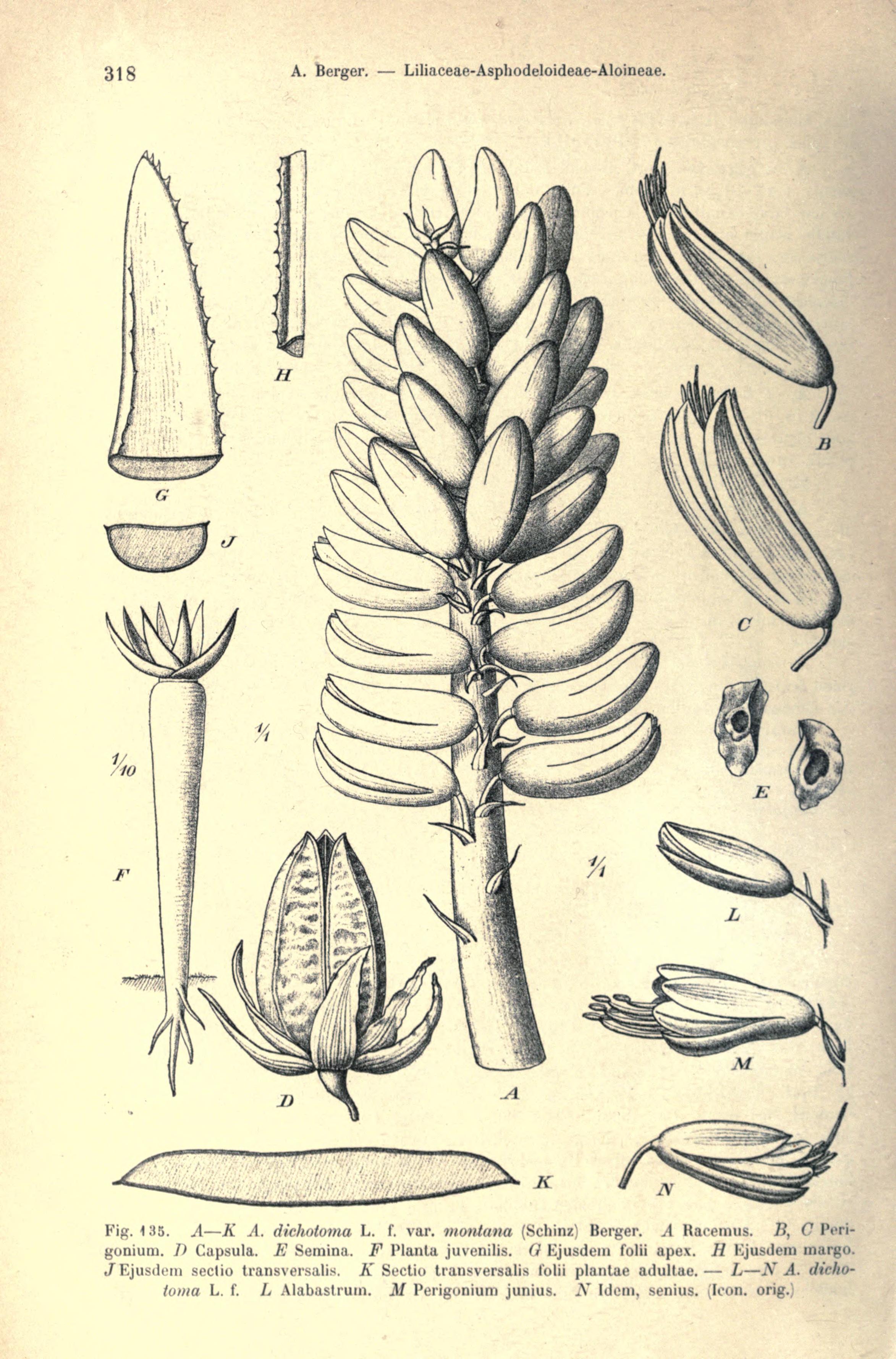 no full size  illustration available (3a)