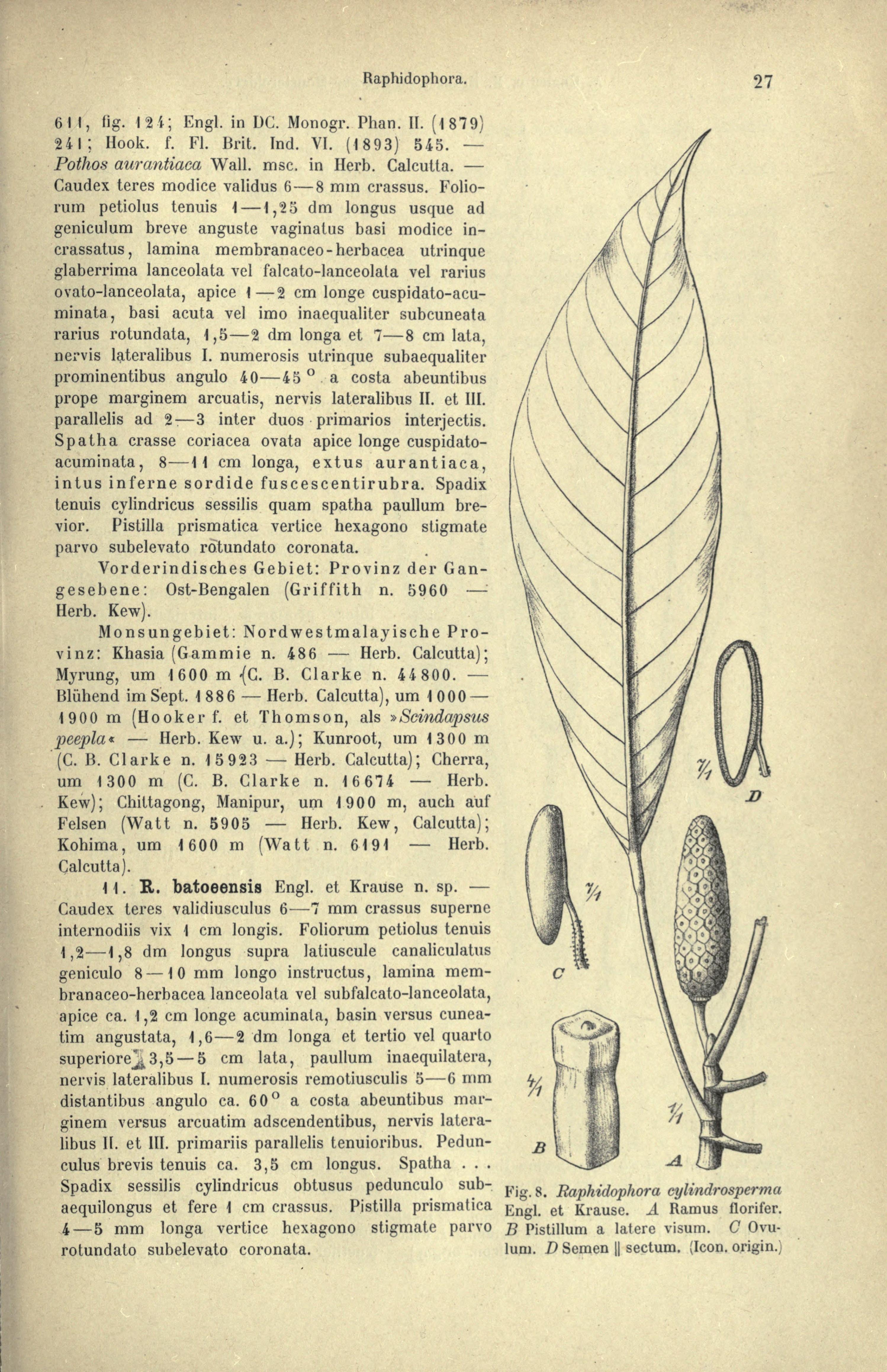 no full size  illustration available (3a)