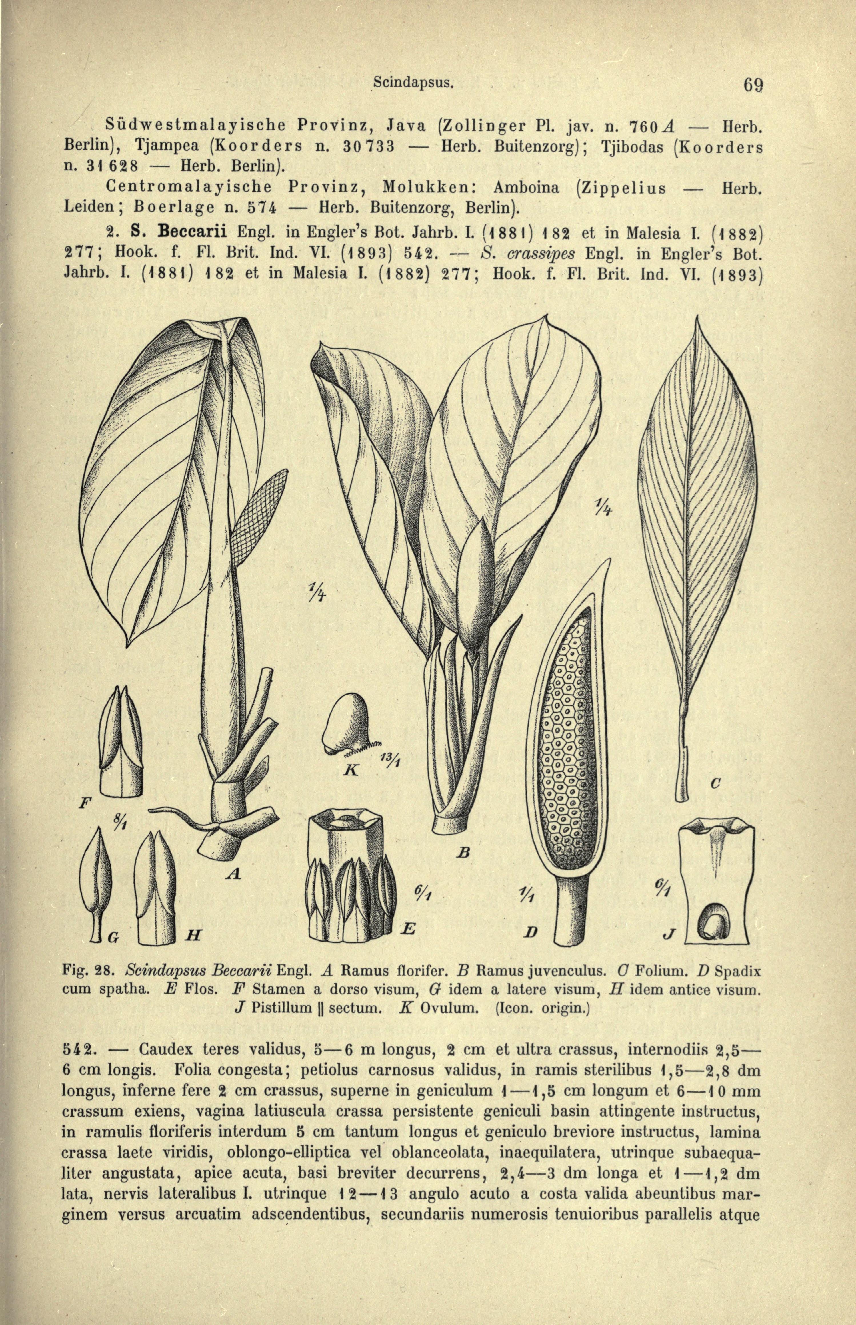 no full size  illustration available (3a)